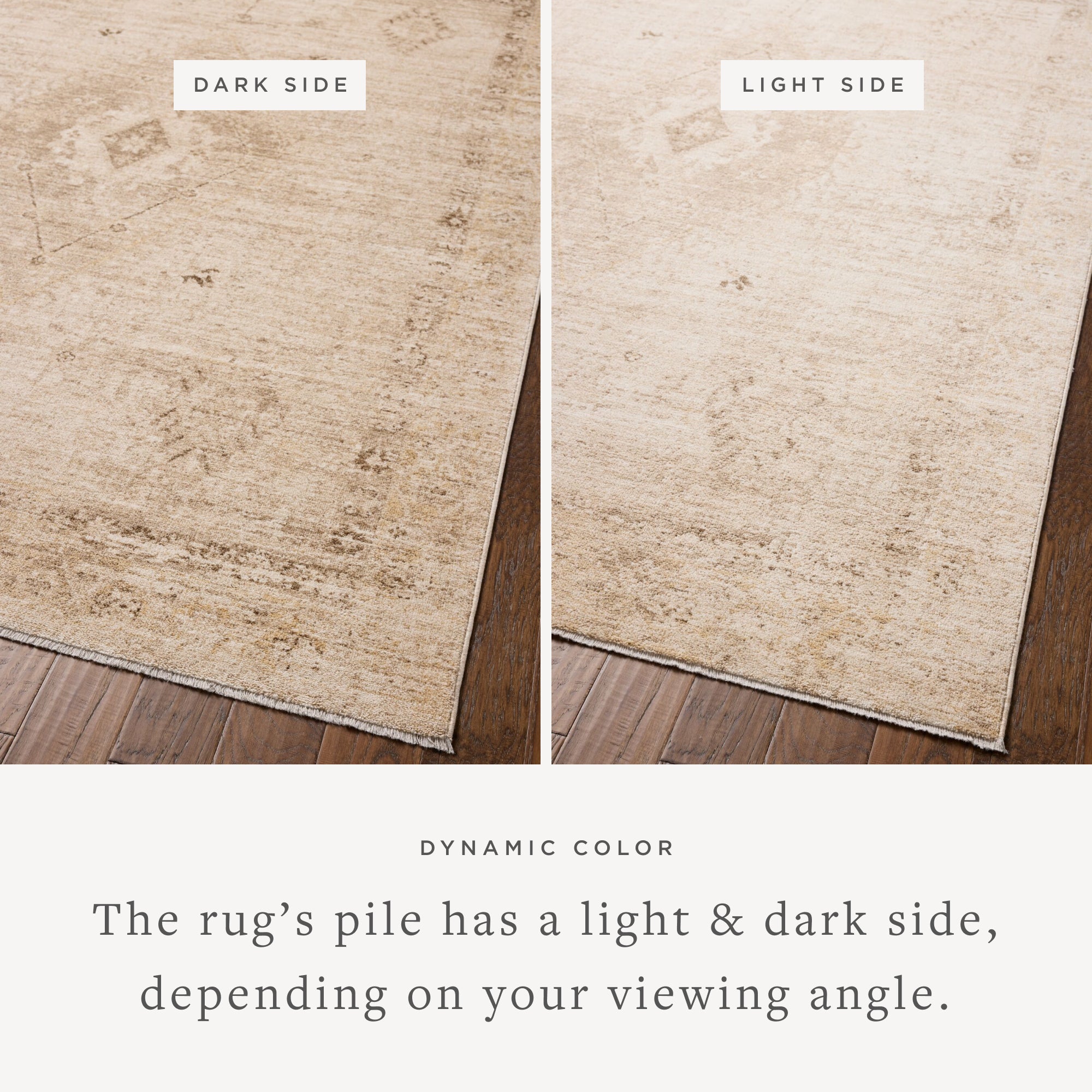 Chris Loves Julia x Loloi Palma Natural/Smoke Rug