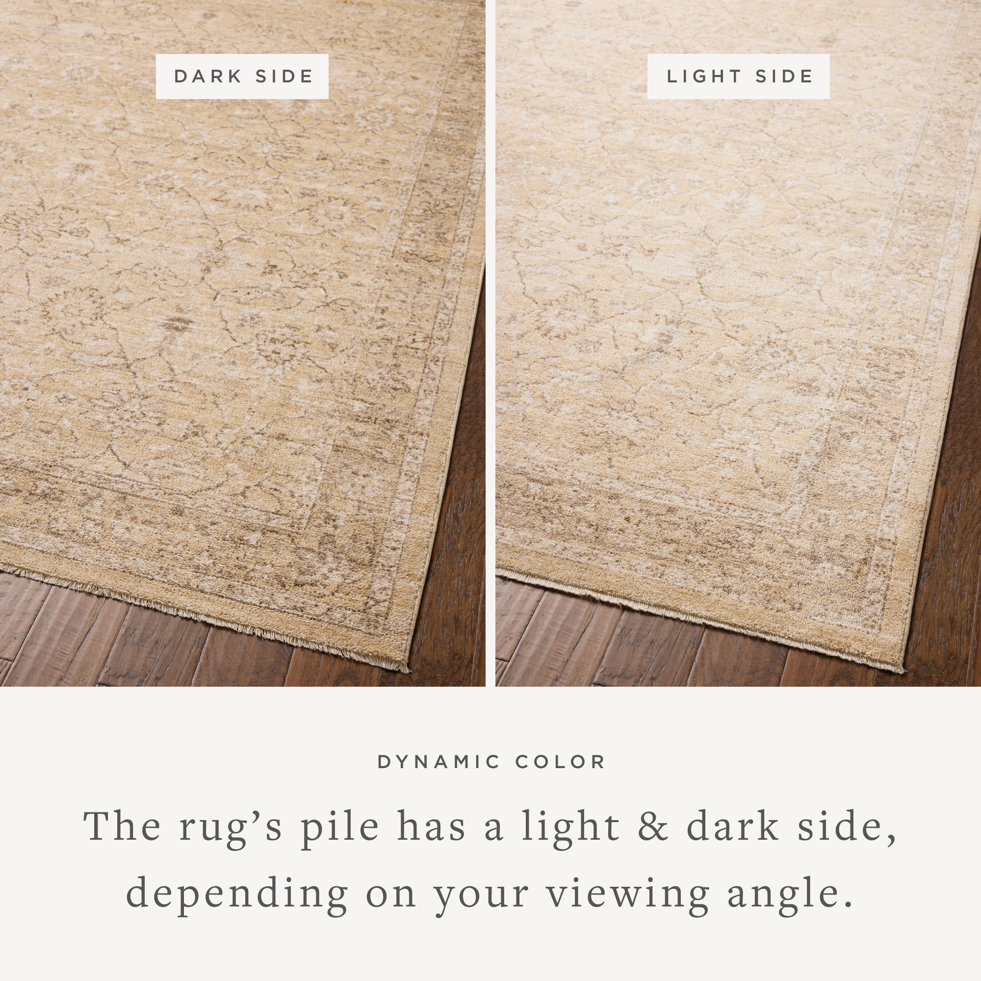 Chris Loves Julia x Loloi Palma Wheat/Bark Rug