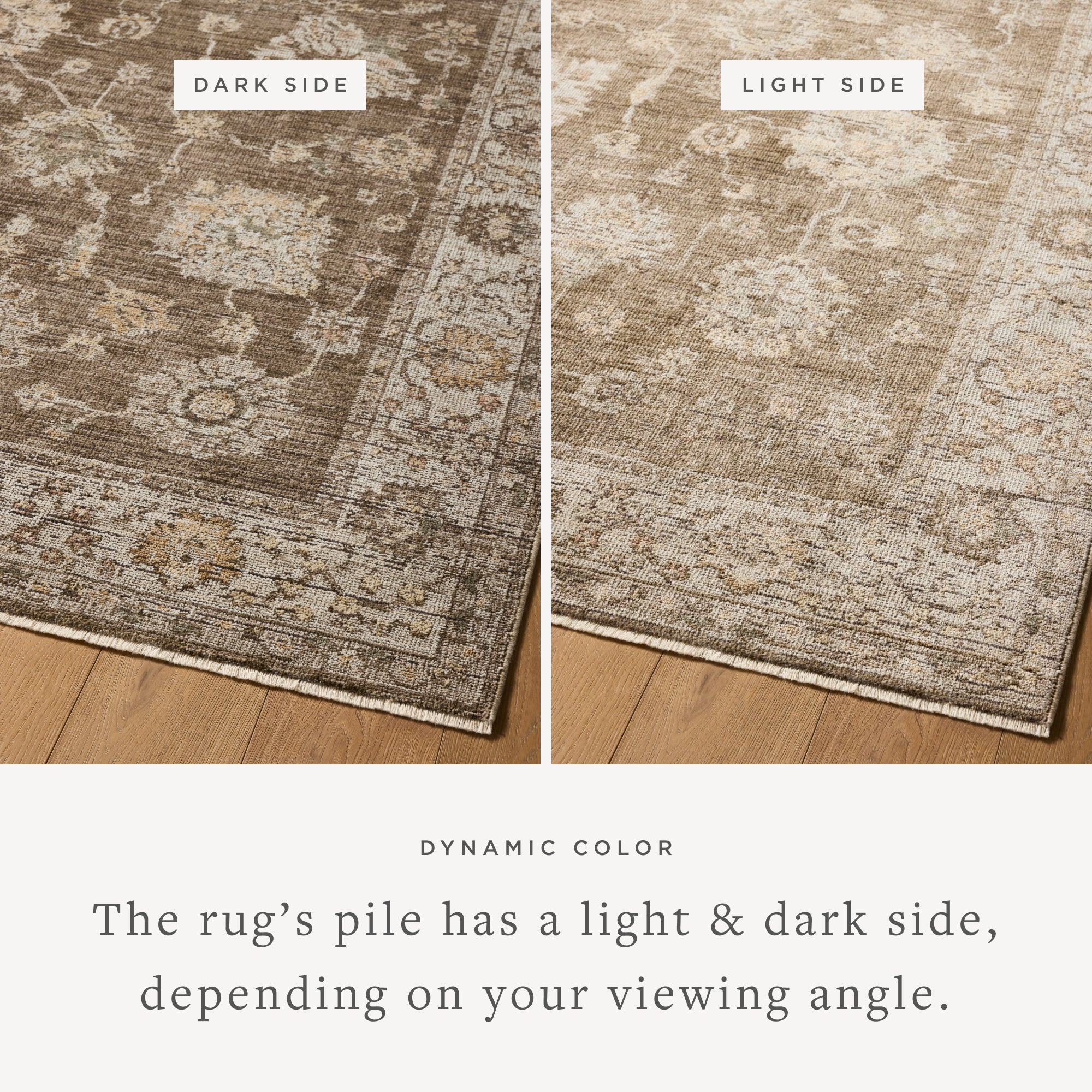 Loloi Priscilla Bark/Ivory Rug