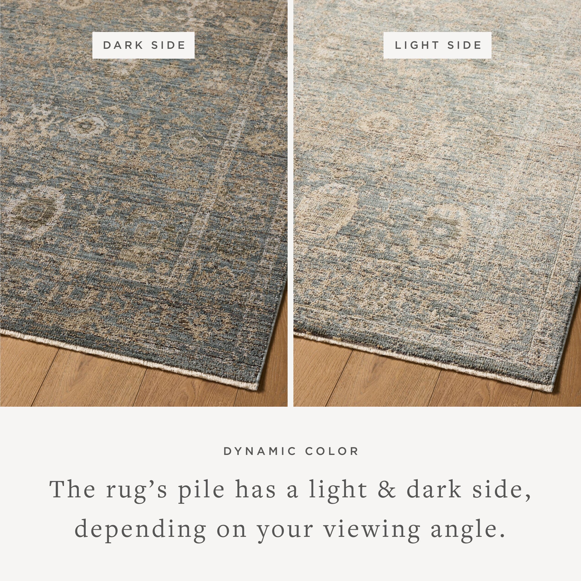 Loloi Priscilla Blue/Sand Rug