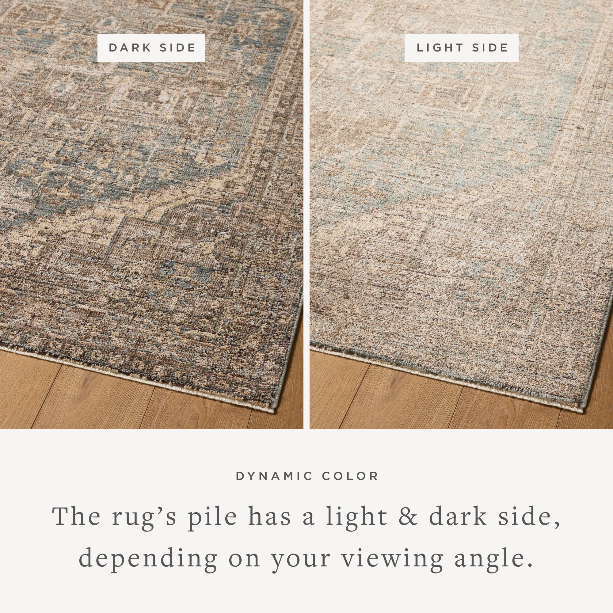 Loloi Priscilla Blue/Bark Rug