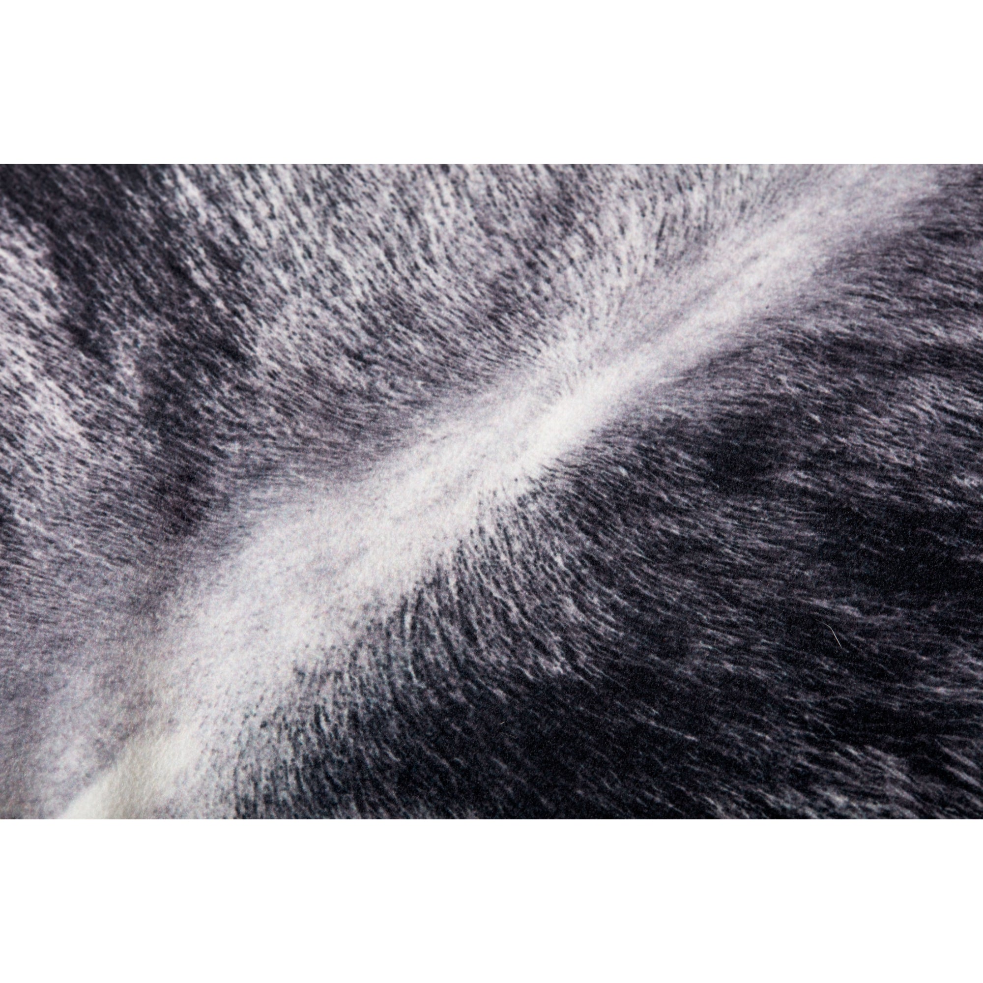 Loloi P0979 Charcoal 22" x 22" Cover with Poly Pillow