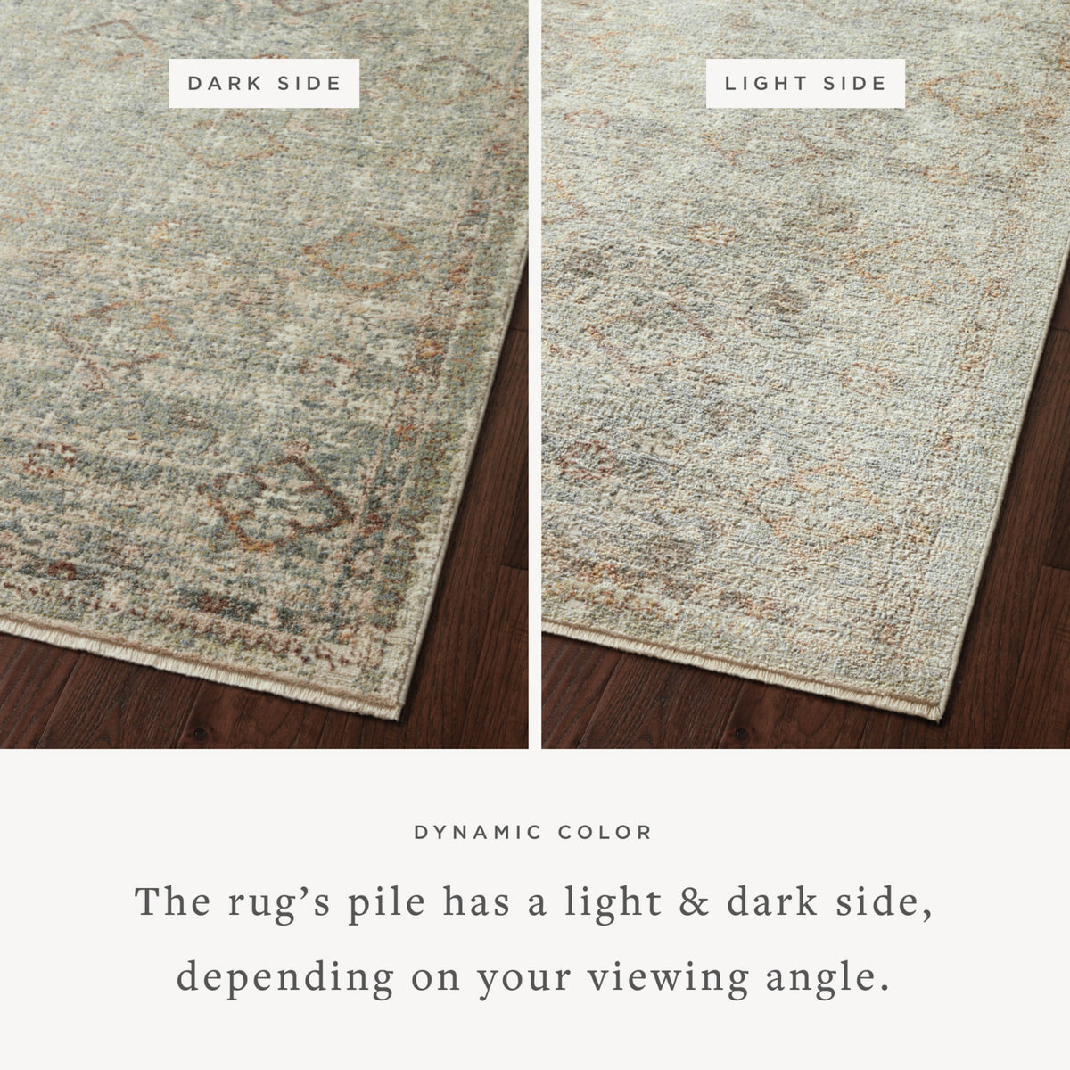 Loloi Sonnet Lagoon/Gold Rug by Loloi