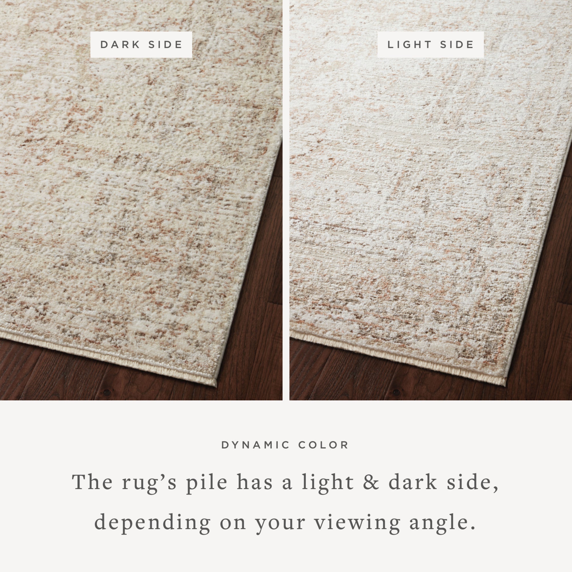 Loloi Sonnet Beige/Terracotta Rug