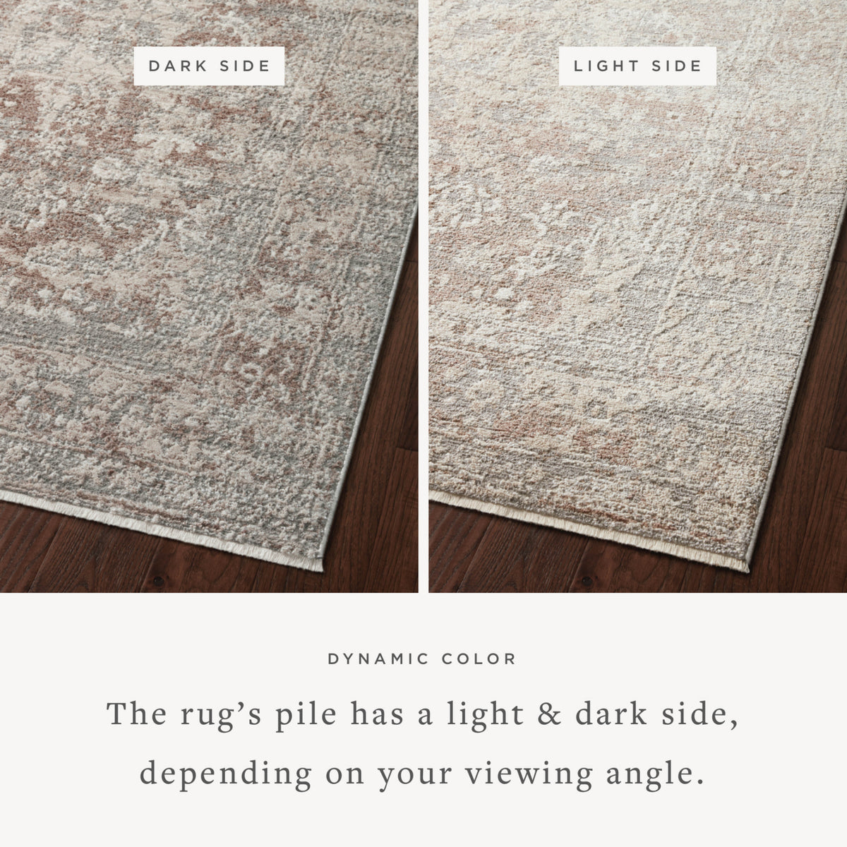 Loloi Sonnet Silver/Natural Rug by Loloi