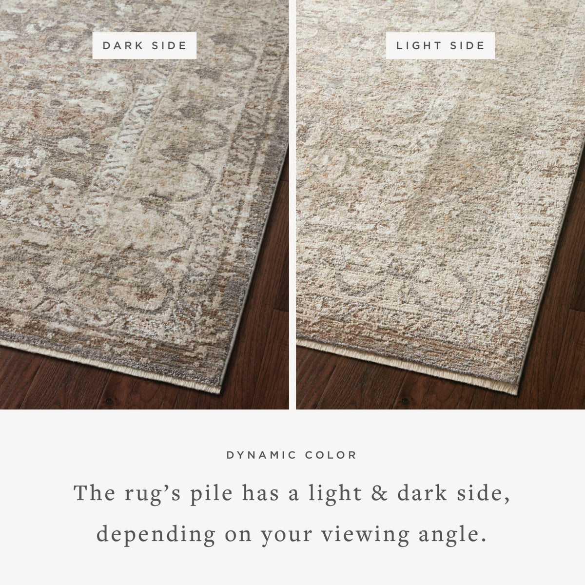 Loloi Sonnet Grey/Sage Rug by Loloi