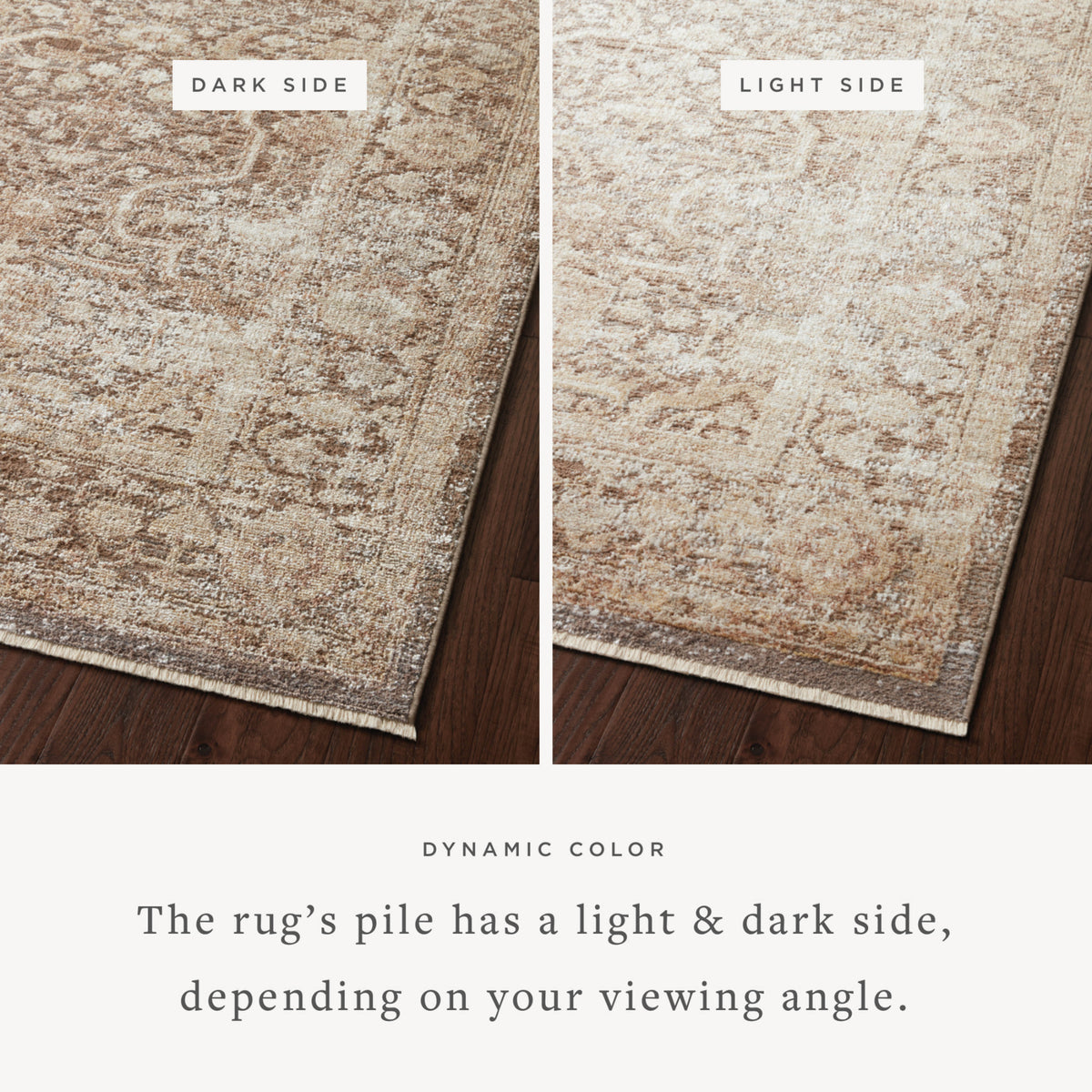 Loloi Sonnet Mocha/Tan Rug by Loloi