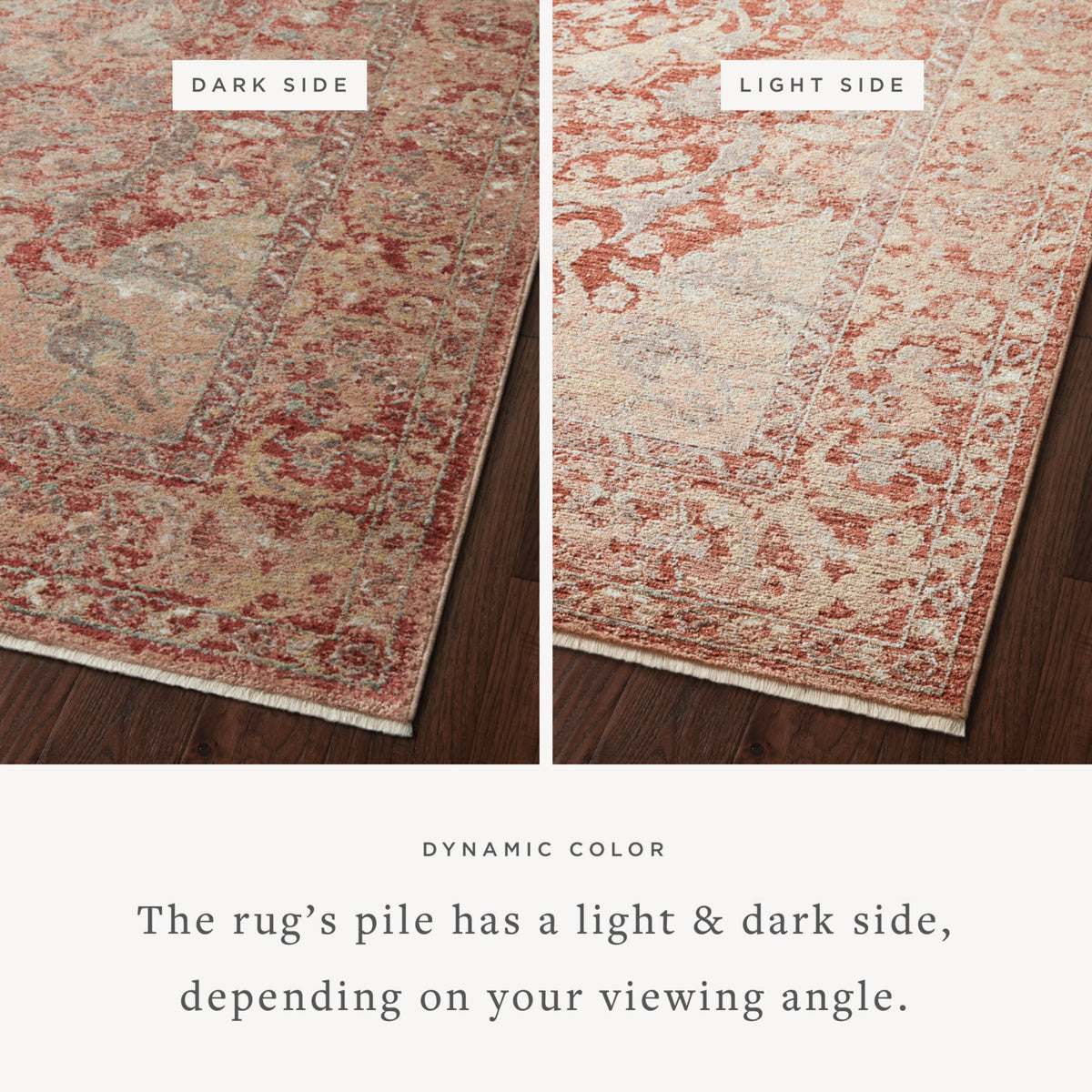 Loloi Sonnet Spice/Multi Rug by Loloi