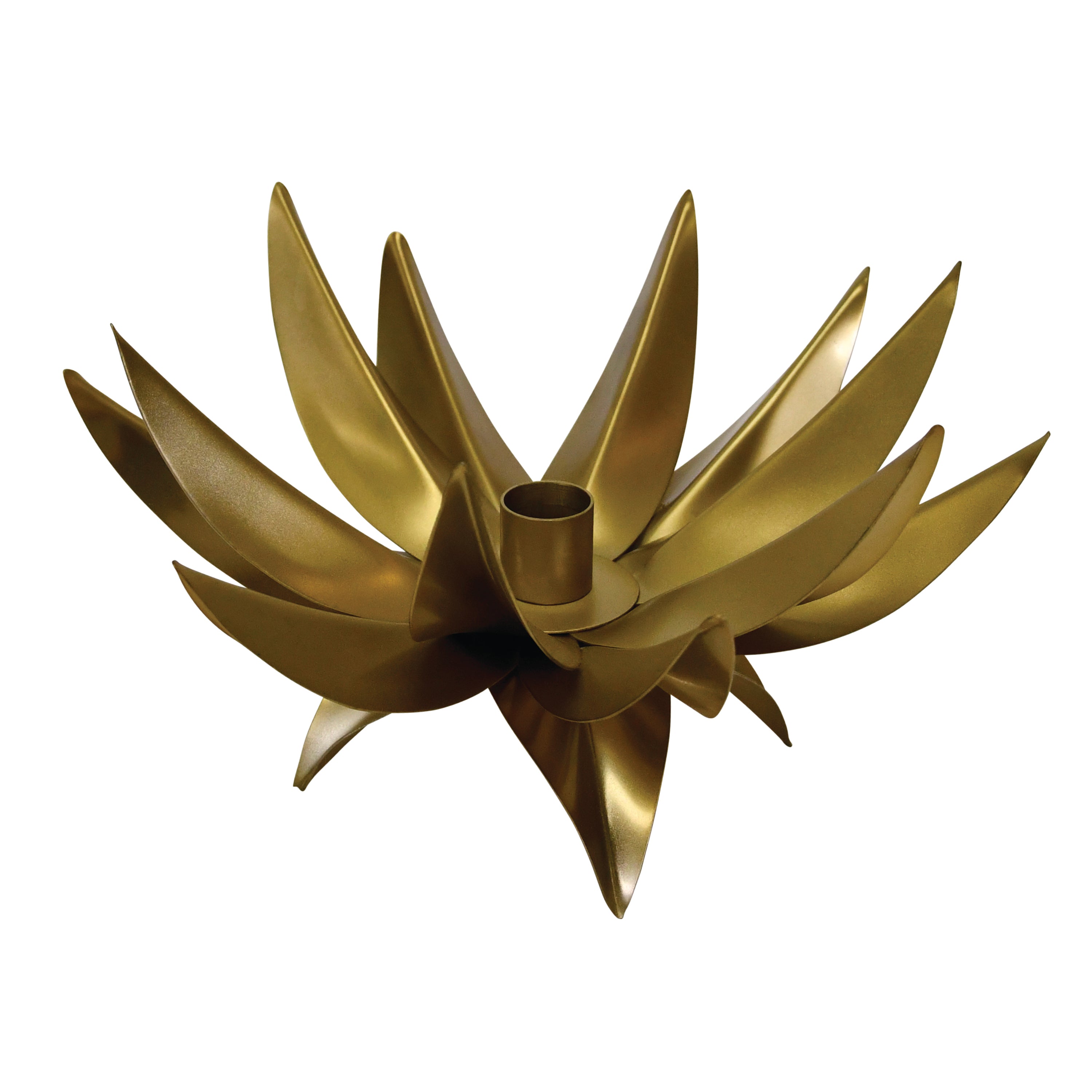 Sparky Palm Tree Candle Votive Candle Holders Worlds Away , Black Friday Sale Worlds Away Furniture Sale, Old Bones Co, Mid Century Furniture Sale, Four Hands Furniture, Black Friday Sale Sparky Palm Tree Candle Votive,Gus Sale, Perigold Sparky Palm Tree Candle Votive Candle Holders Black Friday Sale , Perigold Sale Sparky Palm Tree Candle Votive,Sparky Palm Tree Candle Votive Lulu and Georgia, Burke Decor Sale Sparky Palm Tree Candle Votive, www.oldbonesco.com