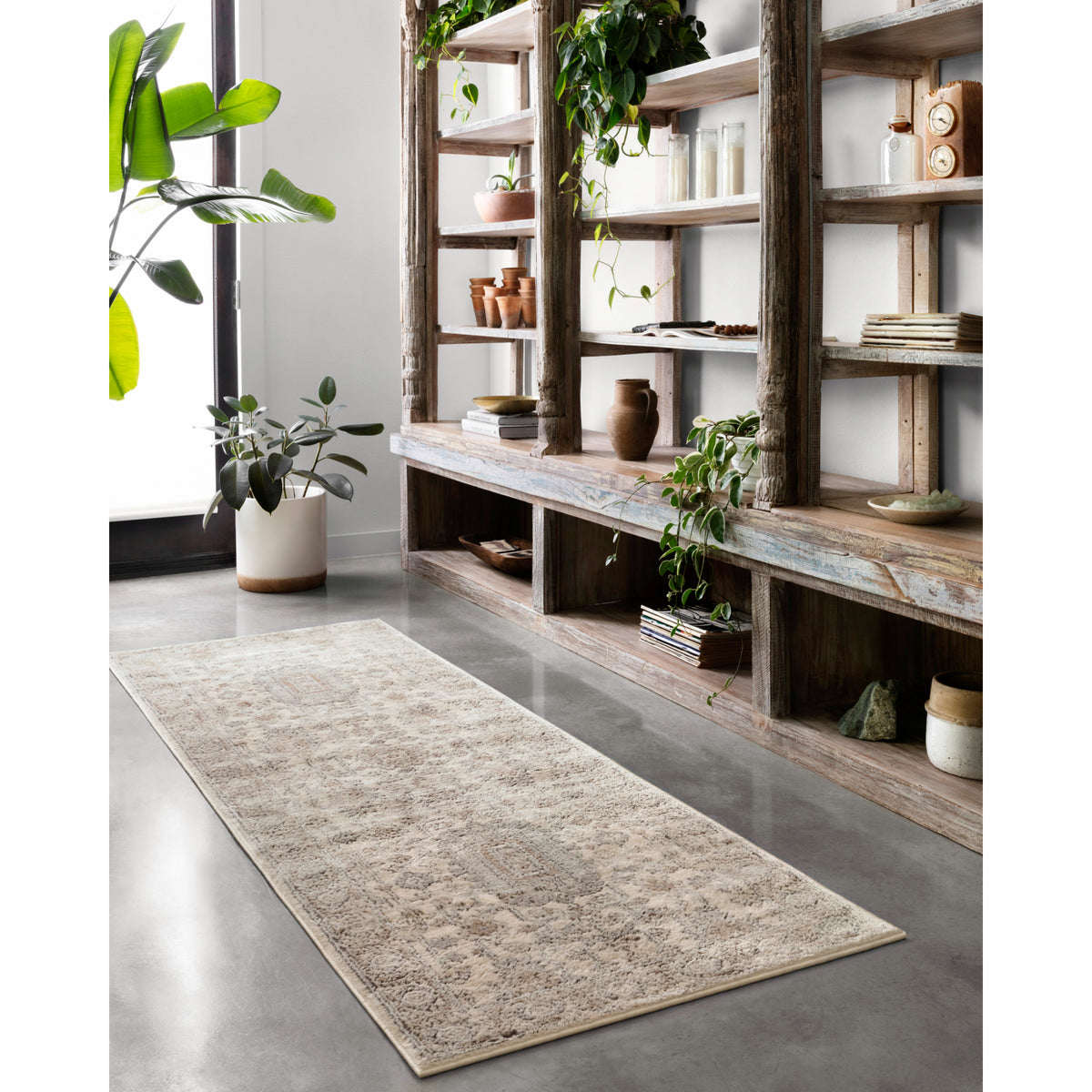 Loloi Teagan Ivory/Sand Rug by Loloi