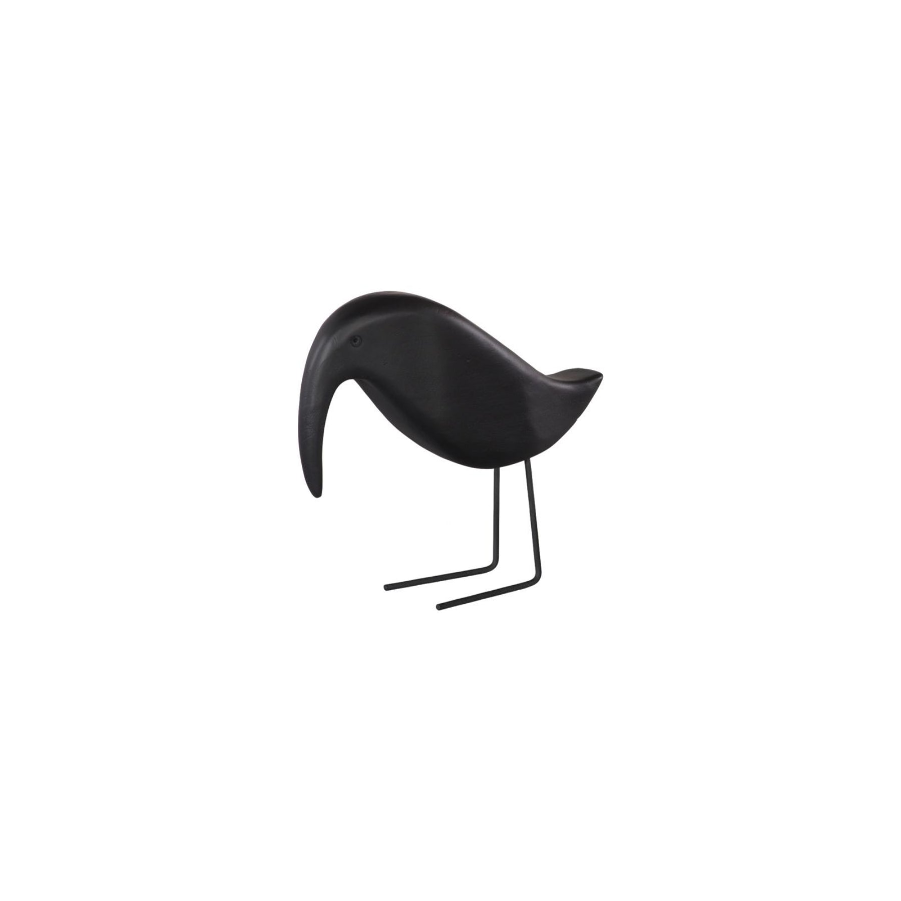 Black Bird