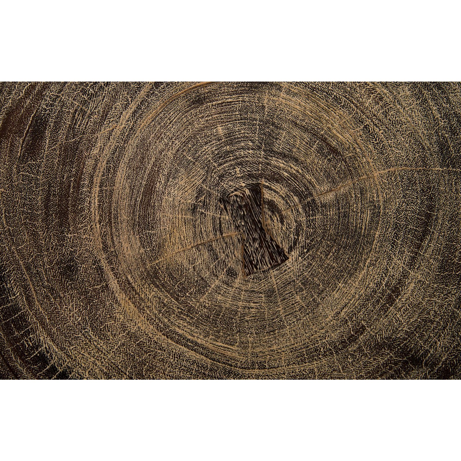 Crosscut Coffee Table