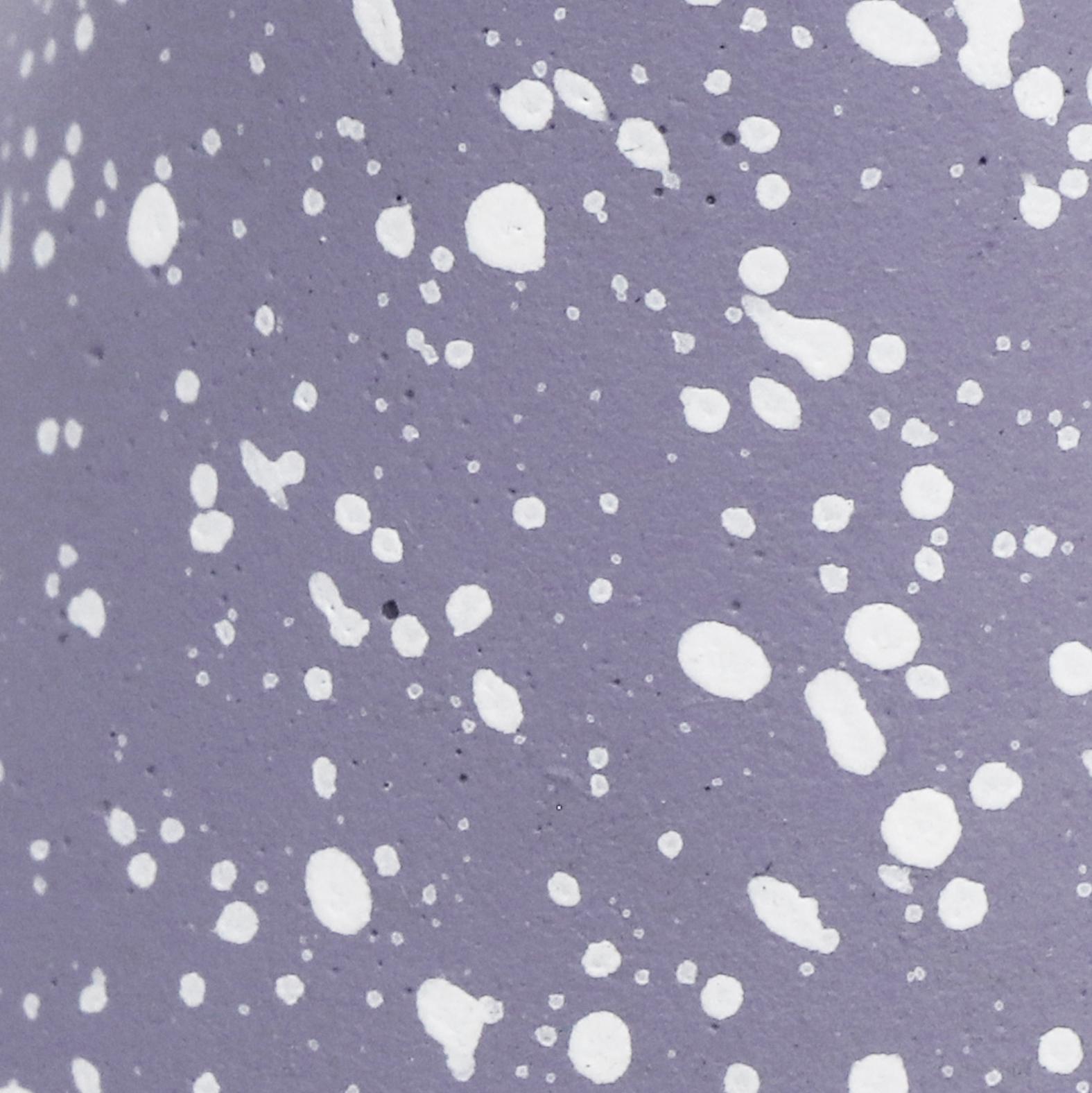 Gabby Speckled Round Card Holder - Set of 4 Card Holders TOV Furniture , Black Friday Sale TOV Furniture Furniture Sale, Old Bones Co, Mid Century Furniture Sale, Four Hands Furniture, Black Friday Sale Gabby Speckled Round Card Holder - Set of 4,Gus Sale, Perigold Gabby Speckled Round Card Holder - Set of 4 Card Holders Black Friday Sale , Perigold Sale Gabby Speckled Round Card Holder - Set of 4,Gabby Speckled Round Card Holder - Set of 4 Lulu and Georgia, Burke Decor Sale Gabby Speckled Round Card Holder