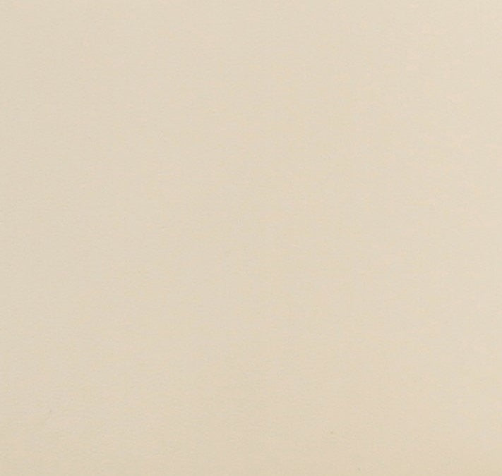 Leo Cream Performance Vegan Leather Dining Chair Dining Chairs TOV Furniture , Black Friday Sale TOV Furniture Furniture Sale, Old Bones Co, Mid Century Furniture Sale, Four Hands Furniture, Black Friday Sale Leo Cream Performance Vegan Leather Dining Chair,Gus Sale, Perigold Leo Cream Performance Vegan Leather Dining Chair Dining Chairs Black Friday Sale , Perigold Sale Leo Cream Performance Vegan Leather Dining Chair,Leo Cream Performance Vegan Leather Dining Chair Lulu and Georgia, Burke Decor Sale Leo C