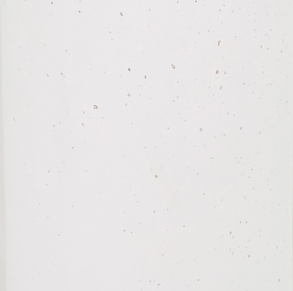 Tildy White Concrete Indoor / Outdoor Round Coffee Table Outdoor Tables TOV Furniture , Black Friday Sale TOV Furniture Furniture Sale, Old Bones Co, Mid Century Furniture Sale, Four Hands Furniture, Black Friday Sale Tildy White Concrete Indoor / Outdoor Round Coffee Table,Gus Sale, Perigold Tildy White Concrete Indoor / Outdoor Round Coffee Table Outdoor Tables Black Friday Sale , Perigold Sale Tildy White Concrete Indoor / Outdoor Round Coffee Table,Tildy White Concrete Indoor / Outdoor Round Coffee Tabl