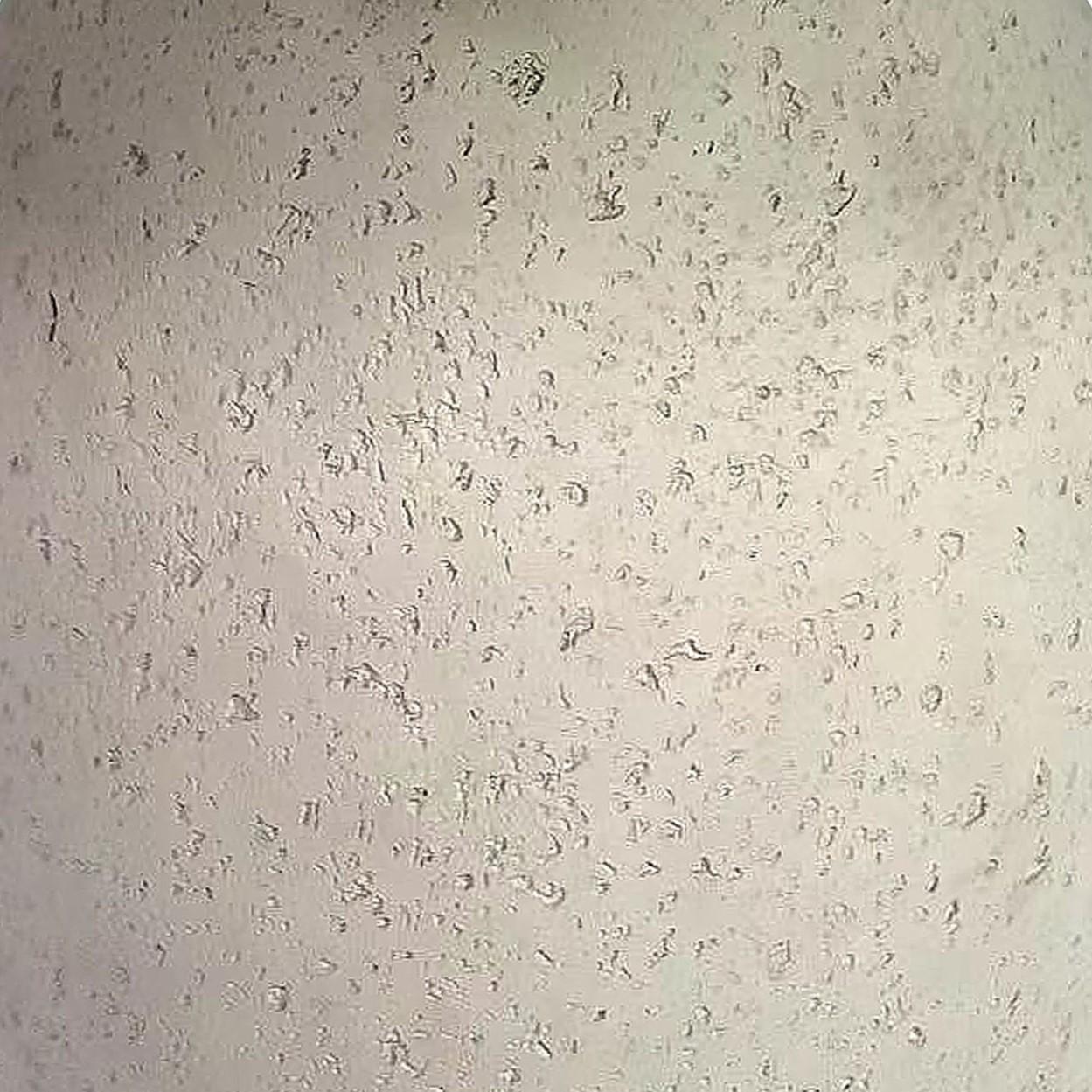 Gina Cream Travertine Side Table Side & End Tables TOV Furniture , Black Friday Sale TOV Furniture Furniture Sale, Old Bones Co, Mid Century Furniture Sale, Four Hands Furniture, Black Friday Sale Gina Cream Travertine Side Table,Gus Sale, Perigold Gina Cream Travertine Side Table Side & End Tables Black Friday Sale , Perigold Sale Gina Cream Travertine Side Table,Gina Cream Travertine Side Table Lulu and Georgia, Burke Decor Sale Gina Cream Travertine Side Table, www.oldbonesco.com