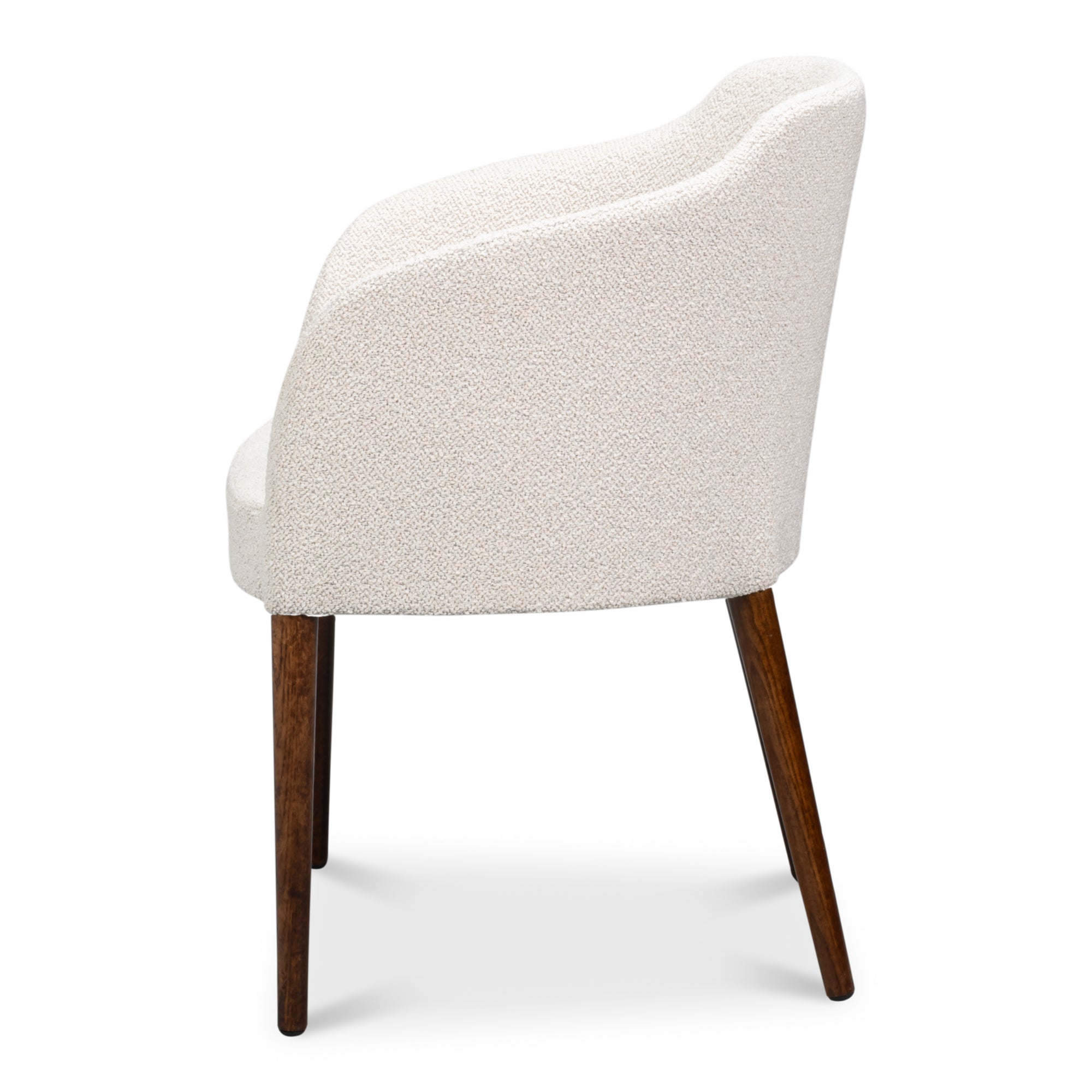 Occasional Contemporary Chair
