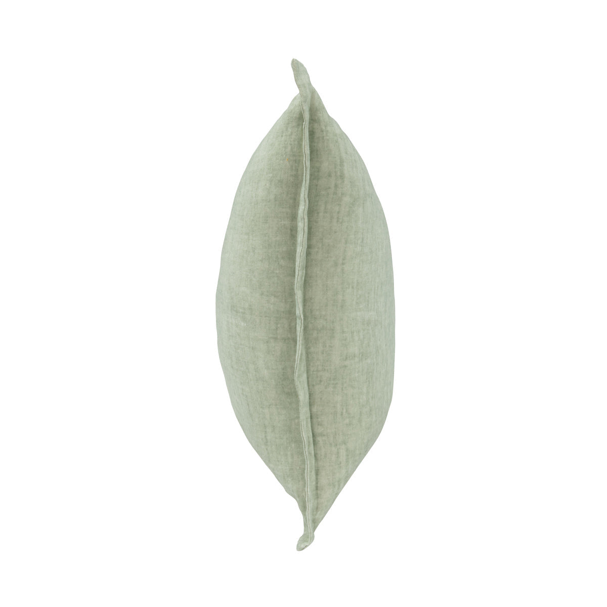 SLD Solstice Mint 22x22 Pillow by Classic Home