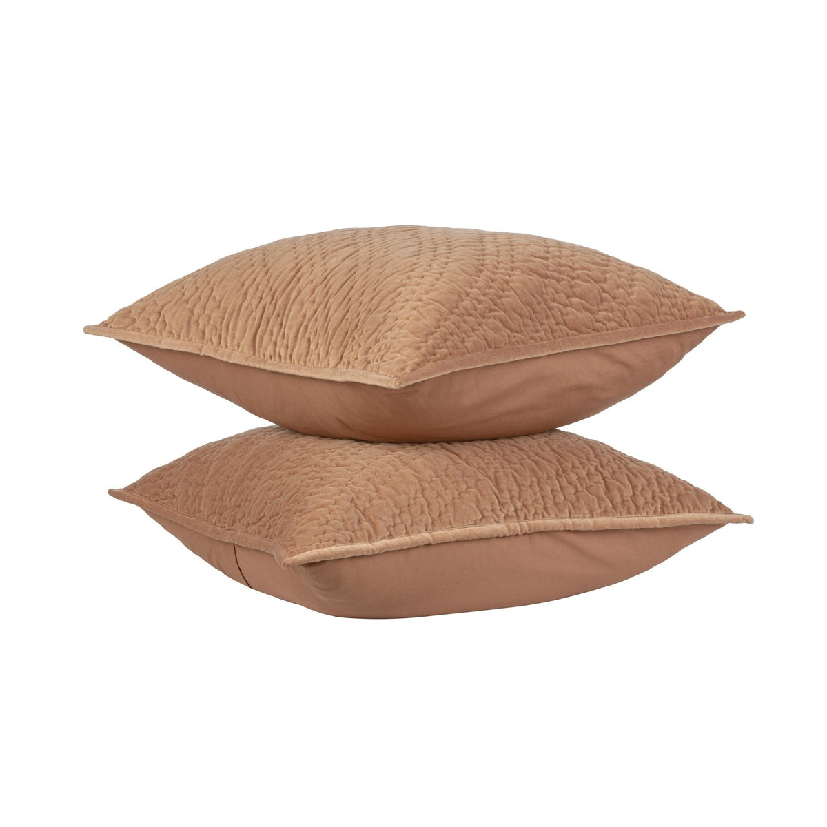 Elms Velvet Sham