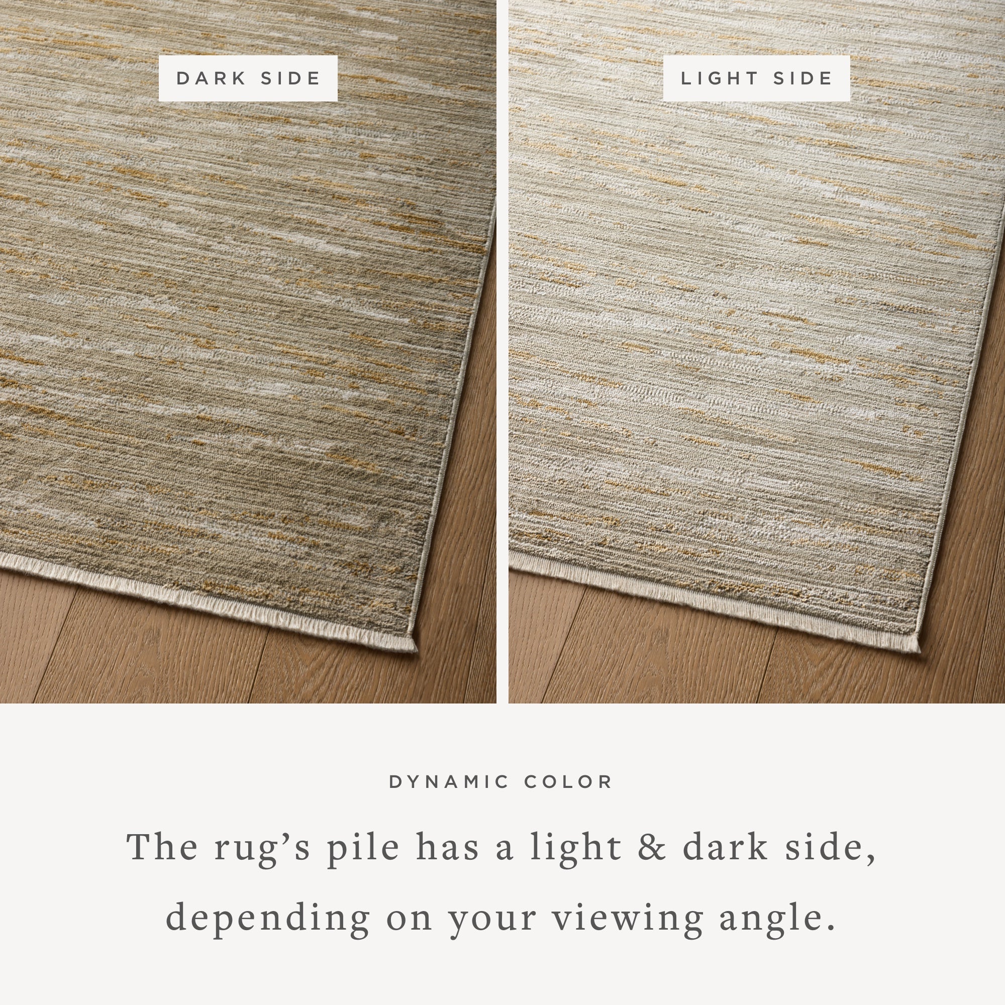 Loloi Wade Sage/Gold Rug