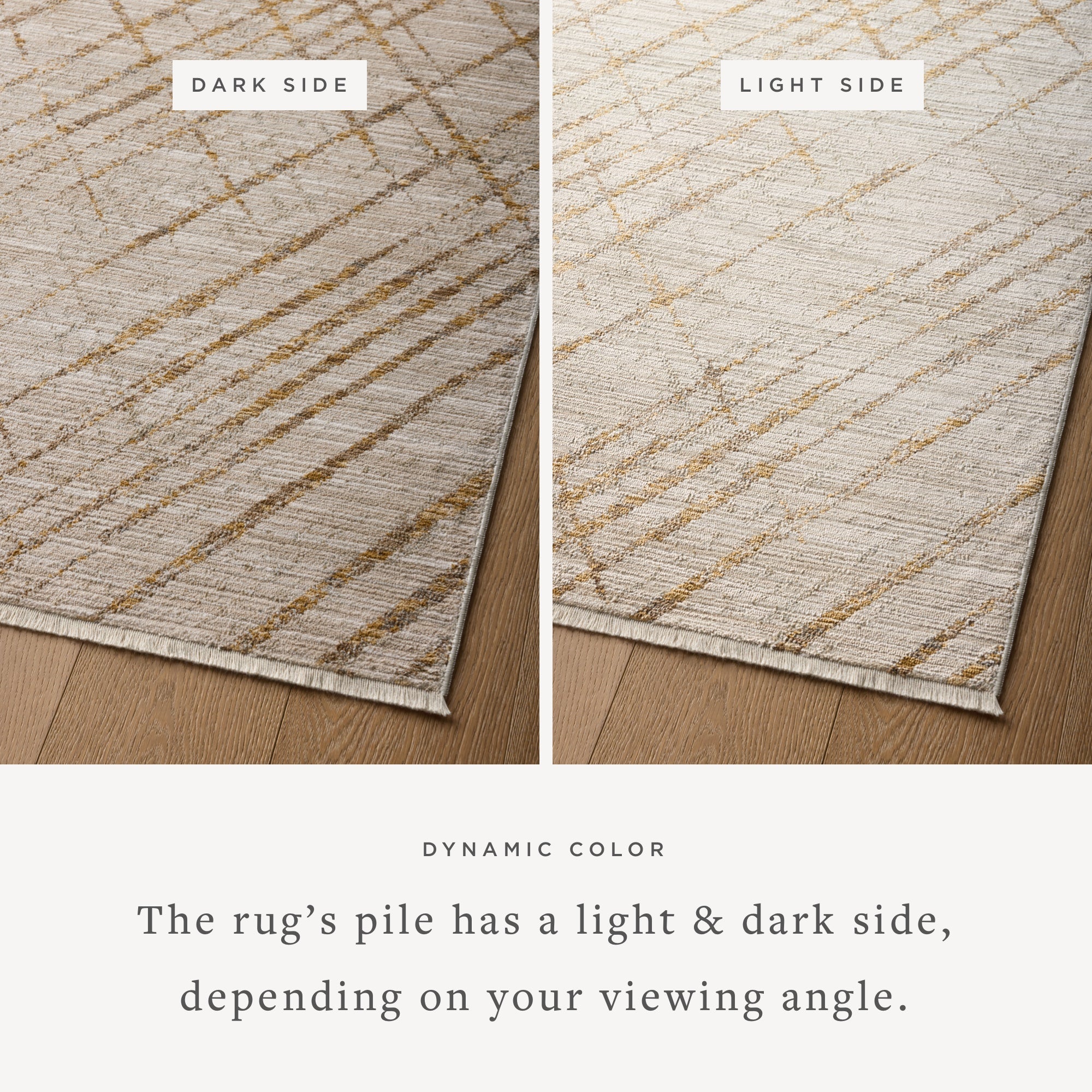 Loloi Wade Beige/Gold Rug