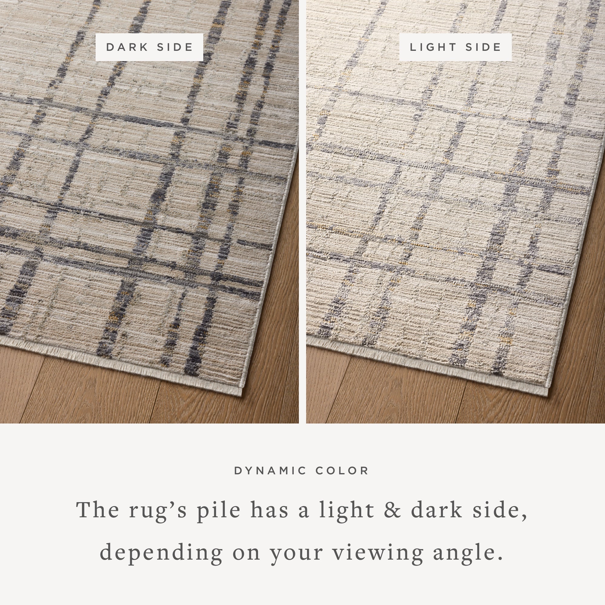 Loloi Wade Beige/Midnight Rug