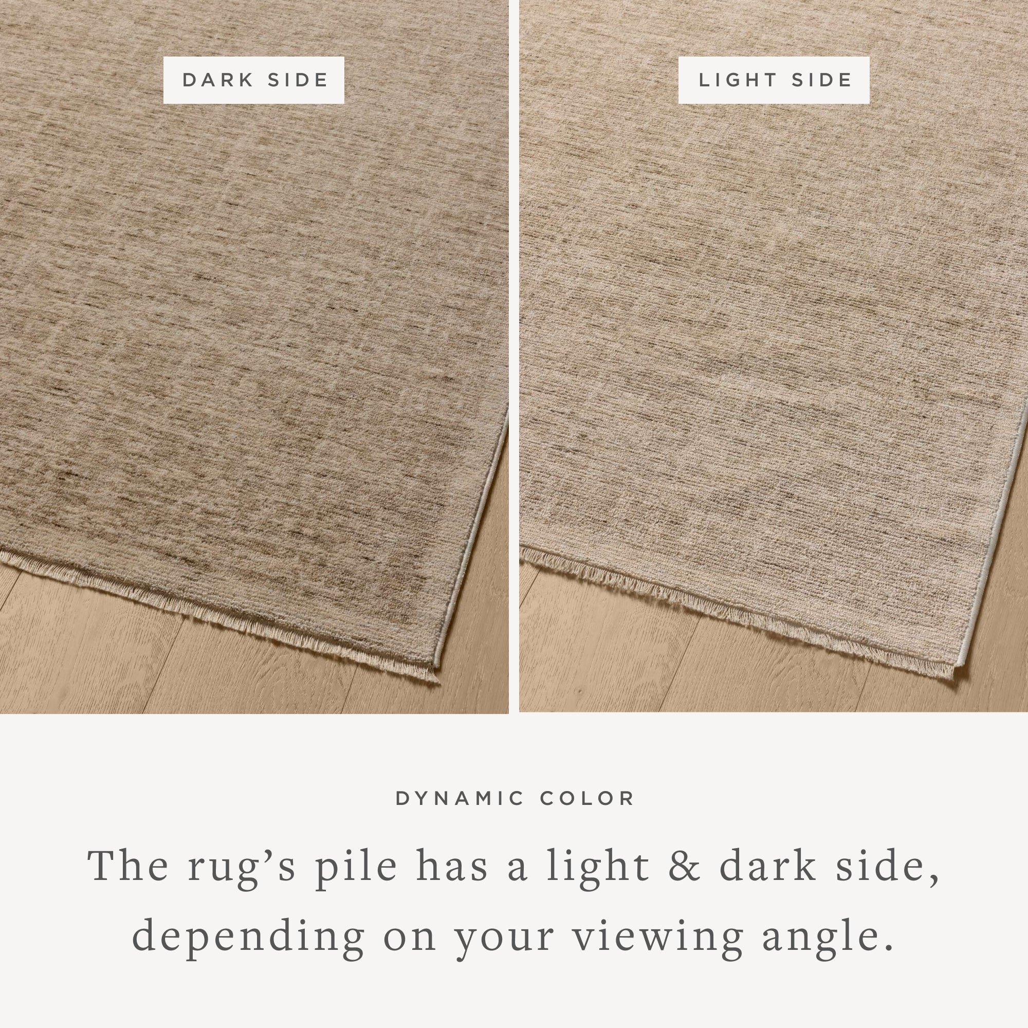 Loloi Winston Taupe/Bone Rug