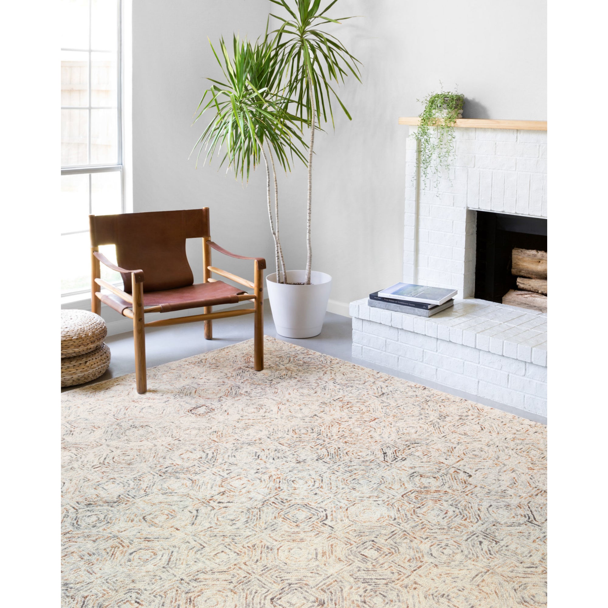 Loloi Ziva Multi Rug