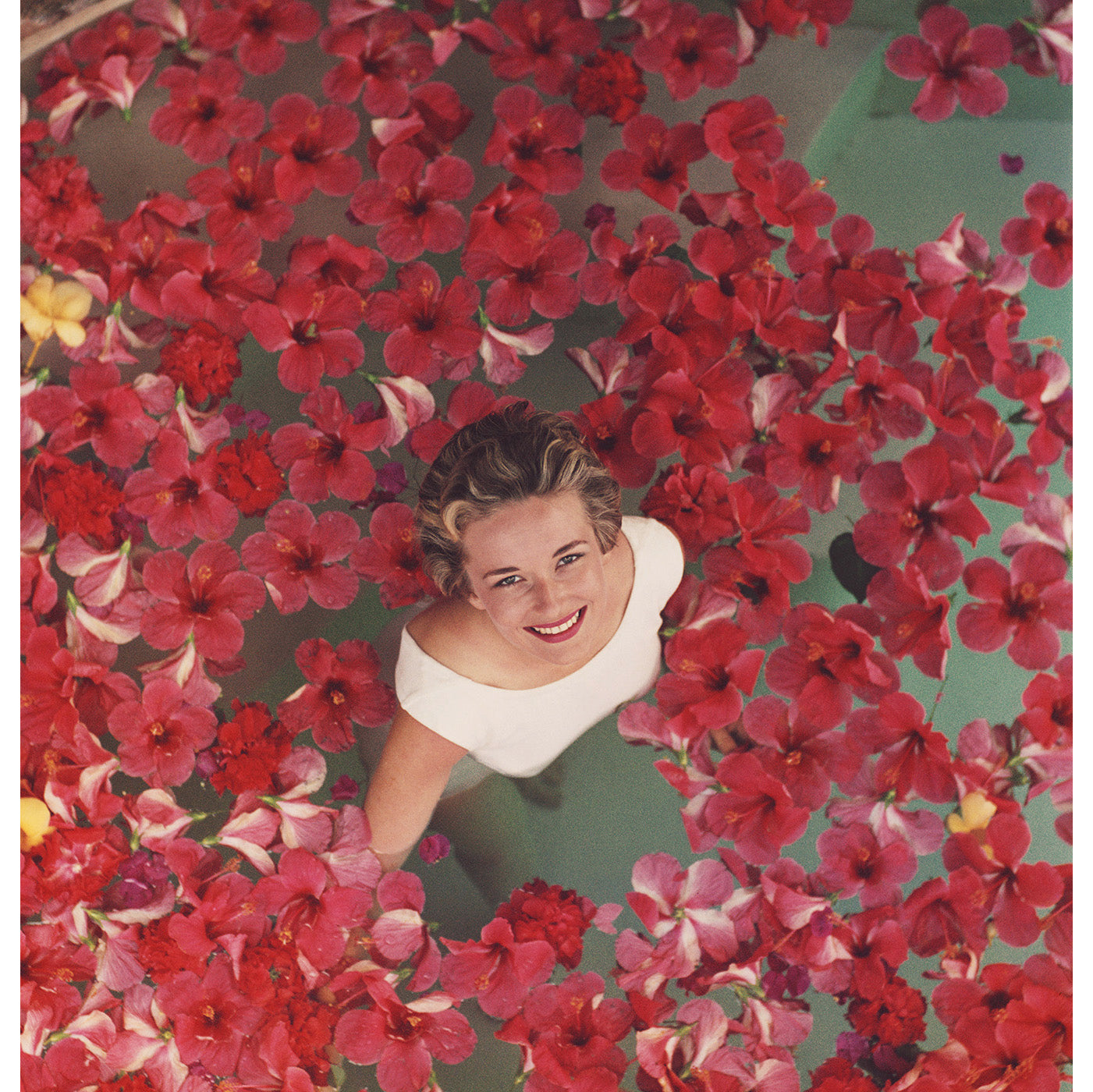 Slim Aarons "Hibiscus Flowers" Photograph Art Studio Jonathan Adler , Black Friday Sale Jonathan Adler Furniture Sale, Old Bones Co, Mid Century Furniture Sale, Four Hands Furniture, Black Friday Sale Slim Aarons "Hibiscus Flowers" Photograph,Gus Sale, Perigold Slim Aarons "Hibiscus Flowers" Photograph Art Studio Black Friday Sale , Perigold Sale Slim Aarons "Hibiscus Flowers" Photograph,Slim Aarons "Hibiscus Flowers" Photograph Lulu and Georgia, Burke Decor Sale Slim Aarons "Hibiscus Flowers" Photograph, w