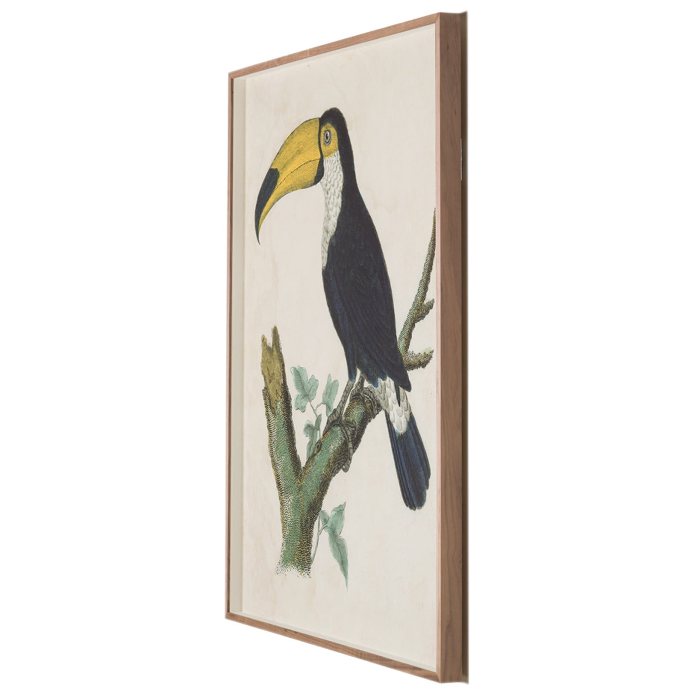 Barraband Toucans 1 Art Studio Jonathan Adler , Black Friday Sale Jonathan Adler Furniture Sale, Old Bones Co, Mid Century Furniture Sale, Four Hands Furniture, Black Friday Sale Barraband Toucans 1,Gus Sale, Perigold Barraband Toucans 1 Art Studio Black Friday Sale , Perigold Sale Barraband Toucans 1,Barraband Toucans 1 Lulu and Georgia, Burke Decor Sale Barraband Toucans 1, www.oldbonesco.com