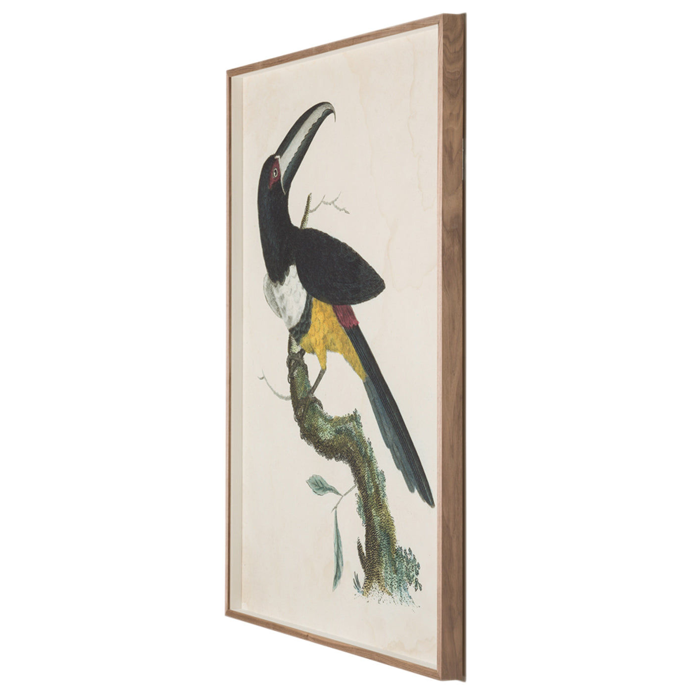 Barraband Toucans 2 Art Studio Jonathan Adler , Black Friday Sale Jonathan Adler Furniture Sale, Old Bones Co, Mid Century Furniture Sale, Four Hands Furniture, Black Friday Sale Barraband Toucans 2,Gus Sale, Perigold Barraband Toucans 2 Art Studio Black Friday Sale , Perigold Sale Barraband Toucans 2,Barraband Toucans 2 Lulu and Georgia, Burke Decor Sale Barraband Toucans 2, www.oldbonesco.com