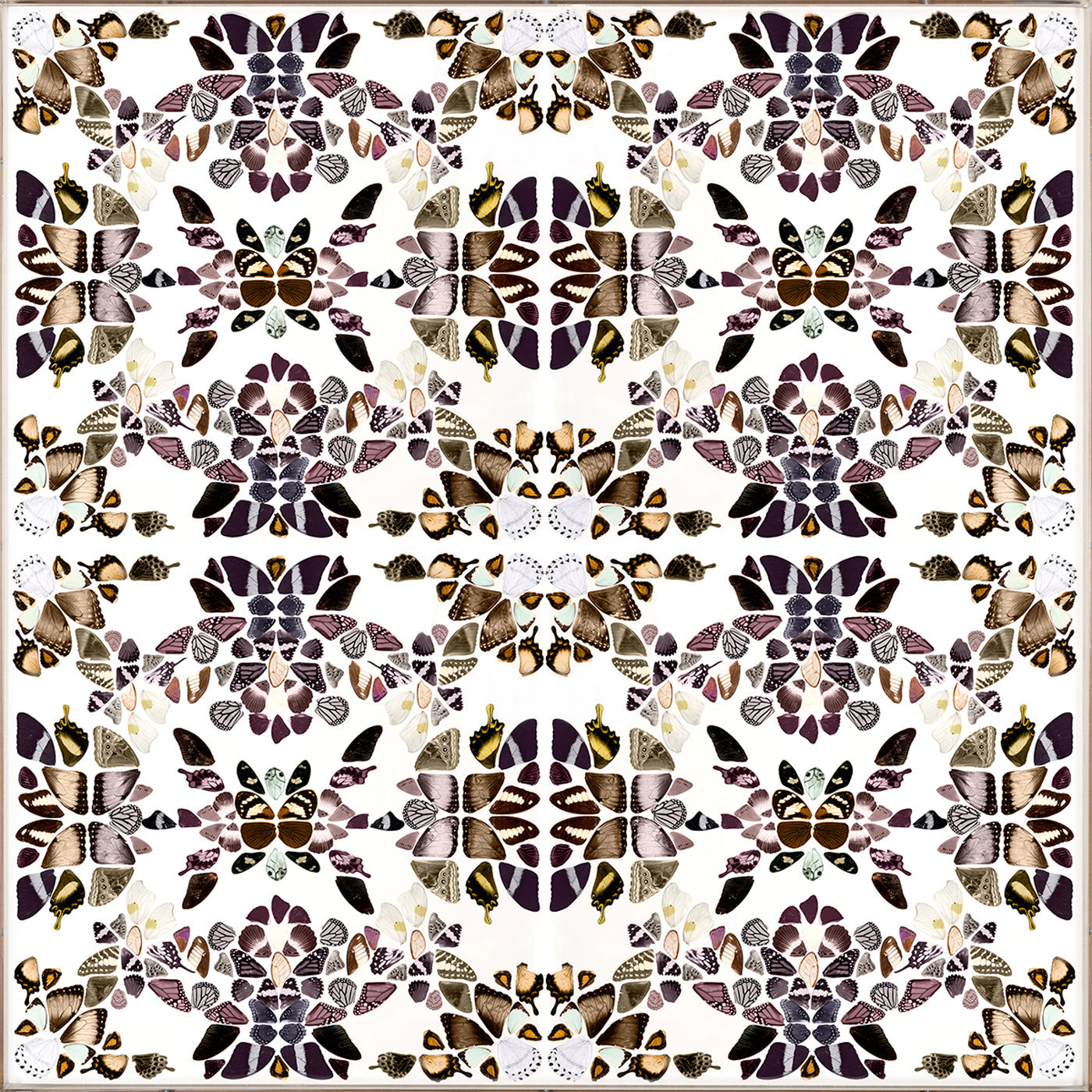 Butterfly Patterns 2 Art Studio Jonathan Adler , Black Friday Sale Jonathan Adler Furniture Sale, Old Bones Co, Mid Century Furniture Sale, Four Hands Furniture, Black Friday Sale Butterfly Patterns 2,Gus Sale, Perigold Butterfly Patterns 2 Art Studio Black Friday Sale , Perigold Sale Butterfly Patterns 2,Butterfly Patterns 2 Lulu and Georgia, Burke Decor Sale Butterfly Patterns 2, www.oldbonesco.com