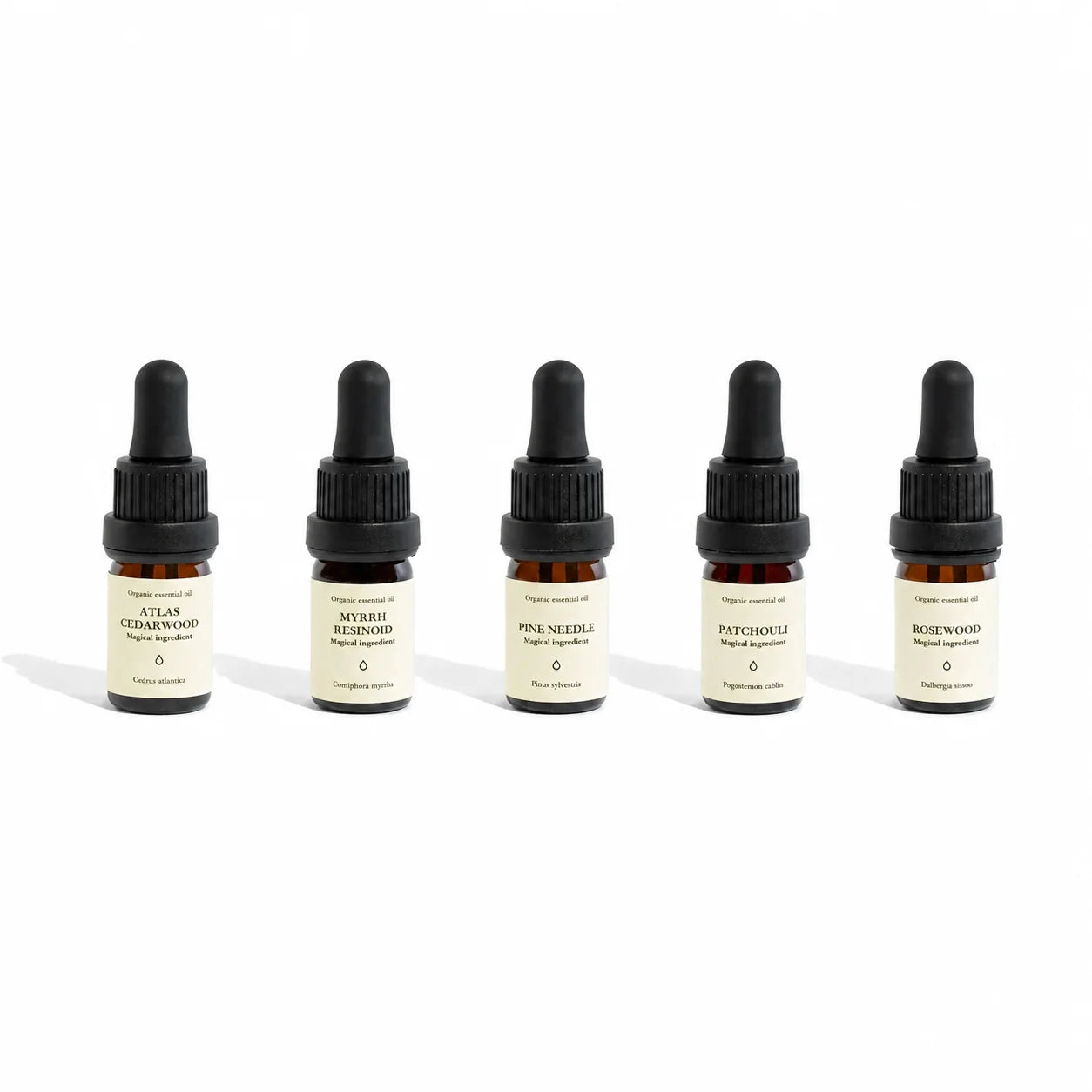 Essential Oil Fall, Winter scents bundle | Immunity & Energy