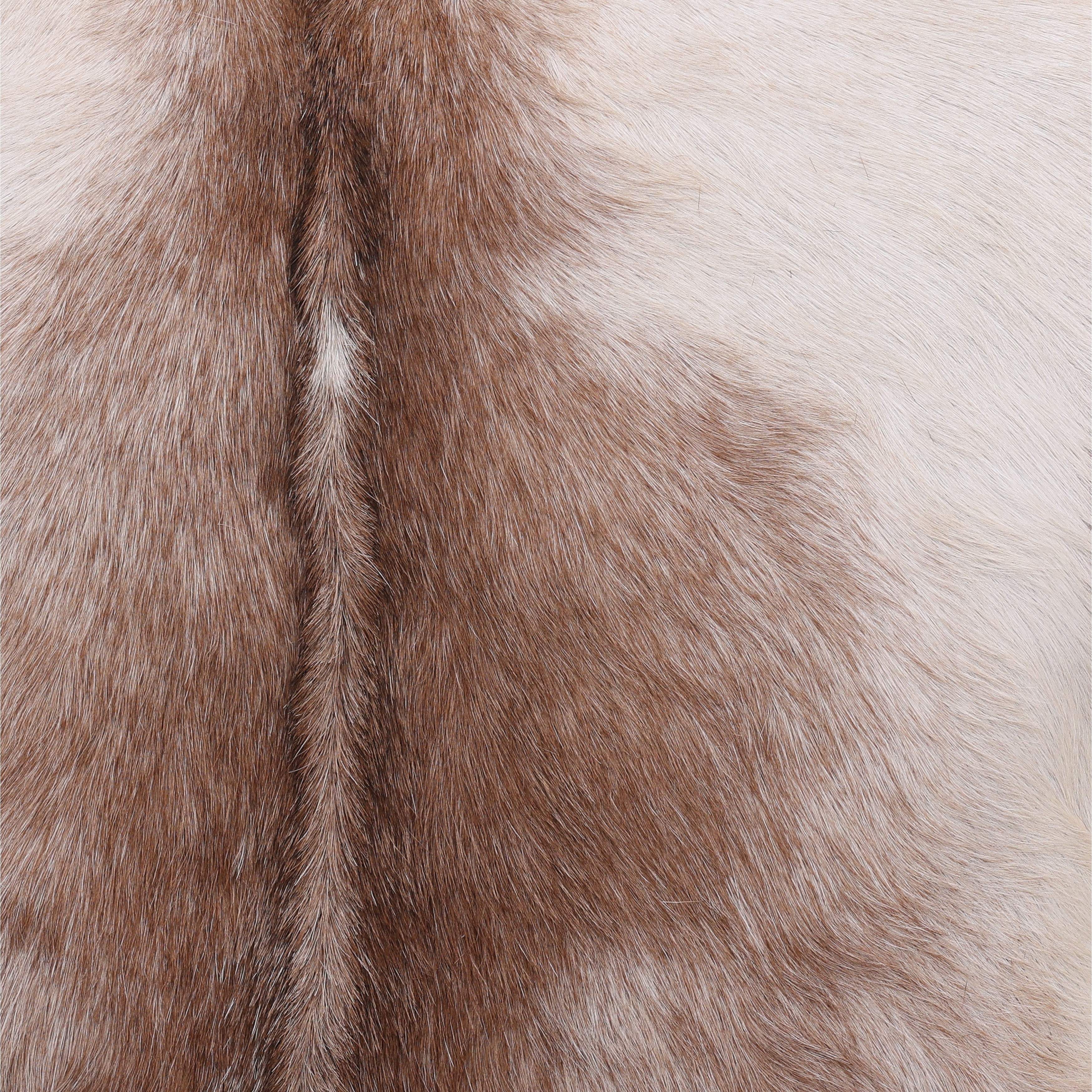 OB-0414 Goat Hide and Teak Wood Occasional Chair Accent Chairs Dovetail , Black Friday Sale Dovetail Furniture Sale, Old Bones Co, Mid Century Furniture Sale, Four Hands Furniture, Black Friday Sale OB-0414 Goat Hide and Teak Wood Occasional Chair,Gus Sale, Perigold OB-0414 Goat Hide and Teak Wood Occasional Chair Accent Chairs Black Friday Sale , Perigold Sale OB-0414 Goat Hide and Teak Wood Occasional Chair,OB-0414 Goat Hide and Teak Wood Occasional Chair Lulu and Georgia, Burke Decor Sale OB-0414 Goat Hi