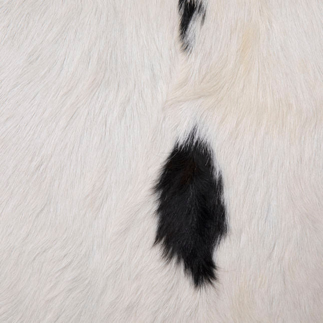 OB-0429 Genuine Goat Hide Fabric Occasional Chair Accent Chairs Dovetail , Black Friday Sale Dovetail Furniture Sale, Old Bones Co, Mid Century Furniture Sale, Four Hands Furniture, Black Friday Sale OB-0429 Genuine Goat Hide Fabric Occasional Chair,Gus Sale, Perigold OB-0429 Genuine Goat Hide Fabric Occasional Chair Accent Chairs Black Friday Sale , Perigold Sale OB-0429 Genuine Goat Hide Fabric Occasional Chair,OB-0429 Genuine Goat Hide Fabric Occasional Chair Lulu and Georgia, Burke Decor Sale OB-0429 Ge