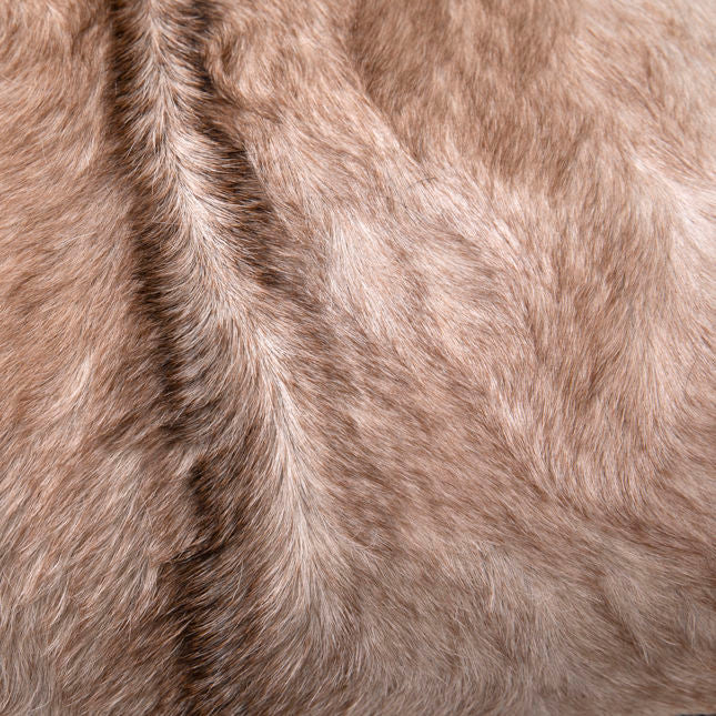 OB-0430 Genuine Goat Hide Fabric Occasional Chair Accent Chairs Dovetail , Black Friday Sale Dovetail Furniture Sale, Old Bones Co, Mid Century Furniture Sale, Four Hands Furniture, Black Friday Sale OB-0430 Genuine Goat Hide Fabric Occasional Chair,Gus Sale, Perigold OB-0430 Genuine Goat Hide Fabric Occasional Chair Accent Chairs Black Friday Sale , Perigold Sale OB-0430 Genuine Goat Hide Fabric Occasional Chair,OB-0430 Genuine Goat Hide Fabric Occasional Chair Lulu and Georgia, Burke Decor Sale OB-0430 Ge