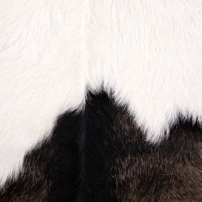 OB-0433 Teak Wood Frame Occasional Chair Accent Chairs Dovetail , Black Friday Sale Dovetail Furniture Sale, Old Bones Co, Mid Century Furniture Sale, Four Hands Furniture, Black Friday Sale OB-0433 Teak Wood Frame Occasional Chair,Gus Sale, Perigold OB-0433 Teak Wood Frame Occasional Chair Accent Chairs Black Friday Sale , Perigold Sale OB-0433 Teak Wood Frame Occasional Chair,OB-0433 Teak Wood Frame Occasional Chair Lulu and Georgia, Burke Decor Sale OB-0433 Teak Wood Frame Occasional Chair, www.oldbonesc