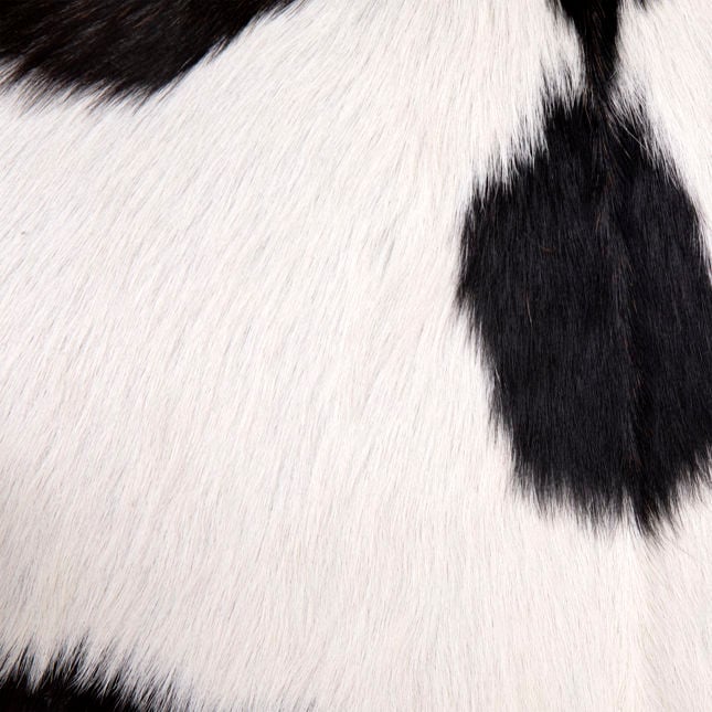 OB-0433 Teak Wood Frame Occasional Chair Accent Chairs Dovetail , Black Friday Sale Dovetail Furniture Sale, Old Bones Co, Mid Century Furniture Sale, Four Hands Furniture, Black Friday Sale OB-0433 Teak Wood Frame Occasional Chair,Gus Sale, Perigold OB-0433 Teak Wood Frame Occasional Chair Accent Chairs Black Friday Sale , Perigold Sale OB-0433 Teak Wood Frame Occasional Chair,OB-0433 Teak Wood Frame Occasional Chair Lulu and Georgia, Burke Decor Sale OB-0433 Teak Wood Frame Occasional Chair, www.oldbonesc