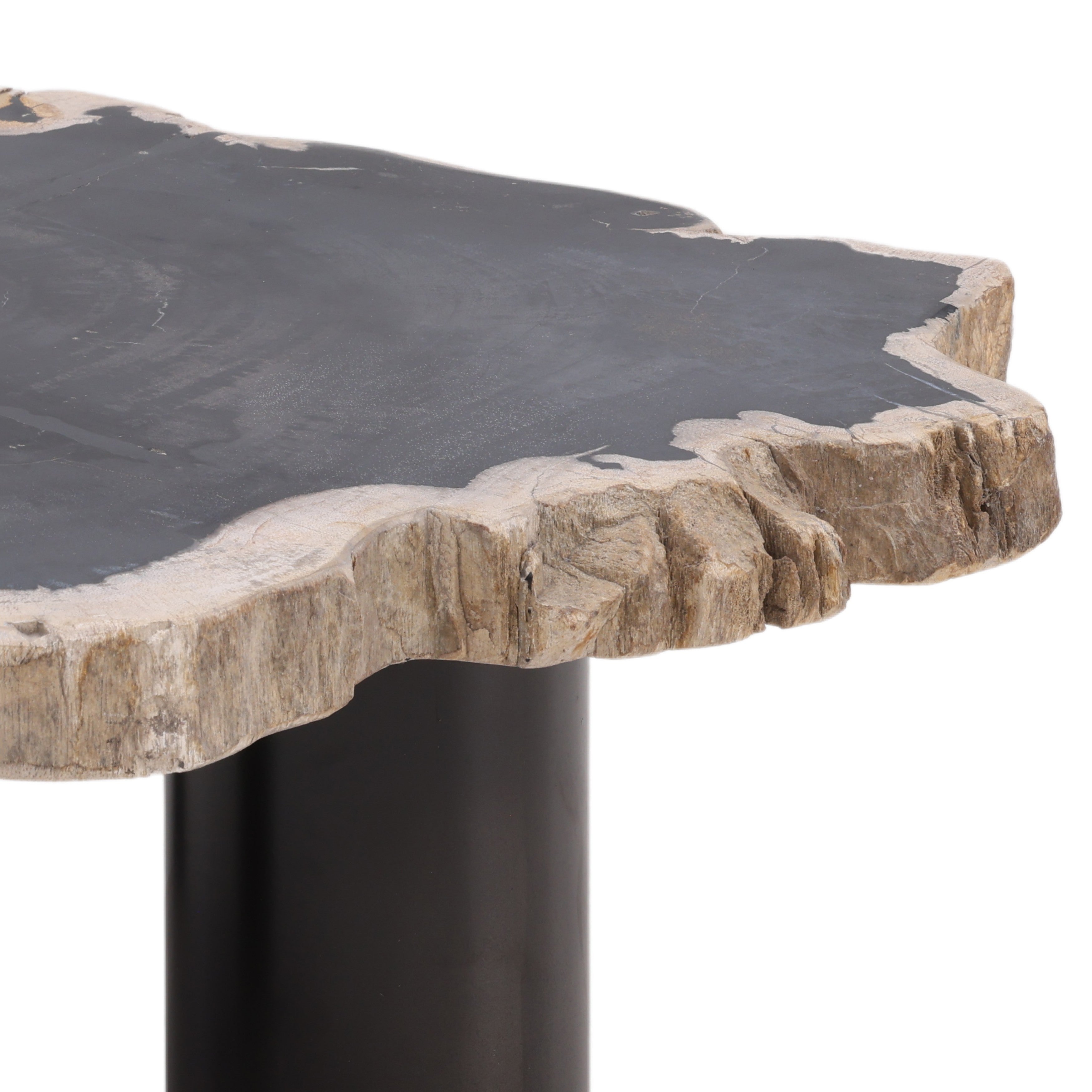 OB-22030 Petrified Wood and Iron Coffee Table Coffee Tables Dovetail , Black Friday Sale Dovetail Furniture Sale, Old Bones Co, Mid Century Furniture Sale, Four Hands Furniture, Black Friday Sale OB-22030 Petrified Wood and Iron Coffee Table,Gus Sale, Perigold OB-22030 Petrified Wood and Iron Coffee Table Coffee Tables Black Friday Sale , Perigold Sale OB-22030 Petrified Wood and Iron Coffee Table,OB-22030 Petrified Wood and Iron Coffee Table Lulu and Georgia, Burke Decor Sale OB-22030 Petrified Wood and Ir
