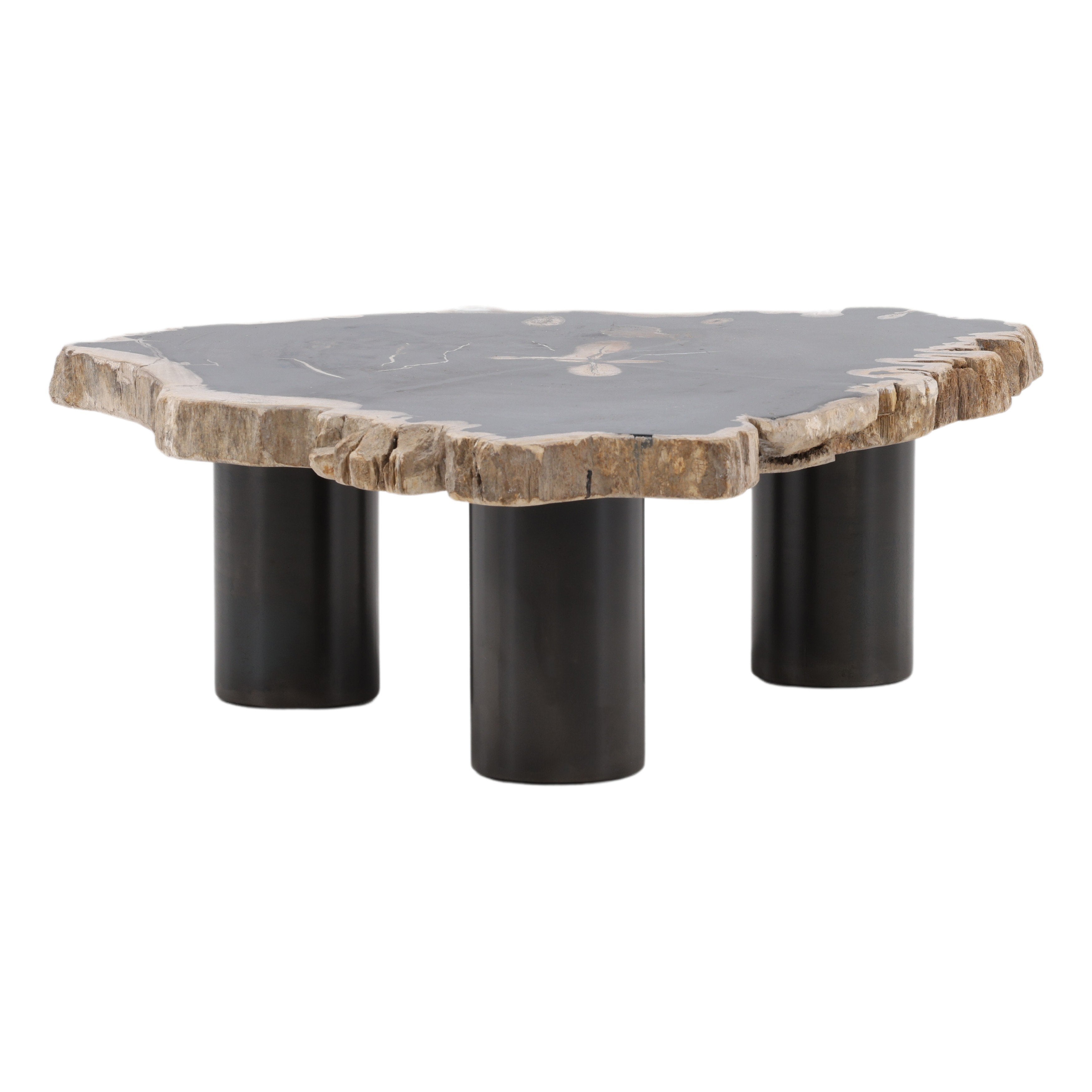 OB-22030 Petrified Wood and Iron Coffee Table Coffee Tables Dovetail Small , Black Friday Sale Dovetail Furniture Sale, Old Bones Co, Mid Century Furniture Sale, Four Hands Furniture, Black Friday Sale OB-22030 Petrified Wood and Iron Coffee Table,Gus Sale, Perigold OB-22030 Petrified Wood and Iron Coffee Table Coffee Tables Black Friday Sale , Perigold Sale OB-22030 Petrified Wood and Iron Coffee Table,OB-22030 Petrified Wood and Iron Coffee Table Lulu and Georgia, Burke Decor Sale OB-22030 Petrified Wood