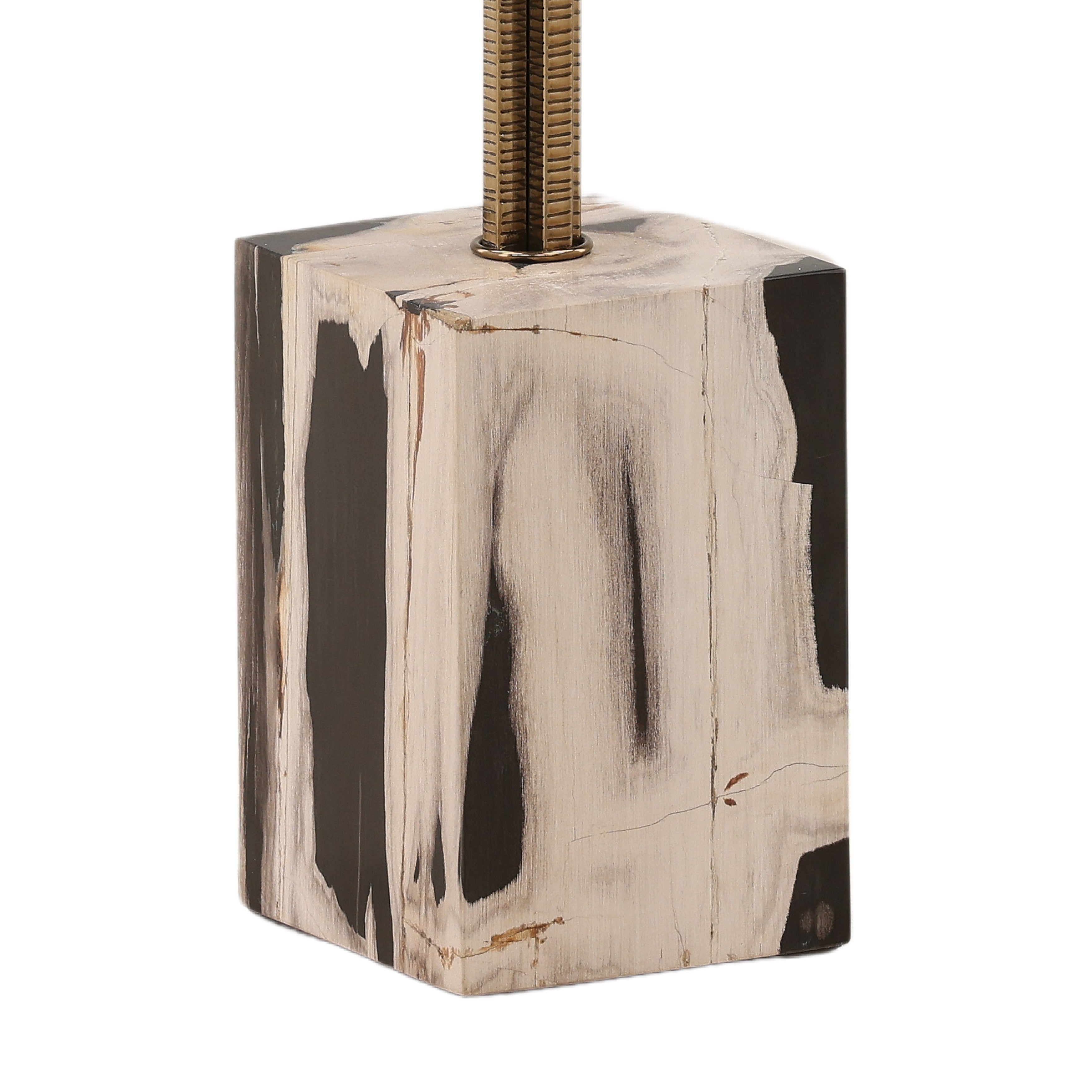 OB-22062 Petrified Wood Side Table Side & End Tables Dovetail , Black Friday Sale Dovetail Furniture Sale, Old Bones Co, Mid Century Furniture Sale, Four Hands Furniture, Black Friday Sale OB-22062 Petrified Wood Side Table,Gus Sale, Perigold OB-22062 Petrified Wood Side Table Side & End Tables Black Friday Sale , Perigold Sale OB-22062 Petrified Wood Side Table,OB-22062 Petrified Wood Side Table Lulu and Georgia, Burke Decor Sale OB-22062 Petrified Wood Side Table, www.oldbonesco.com