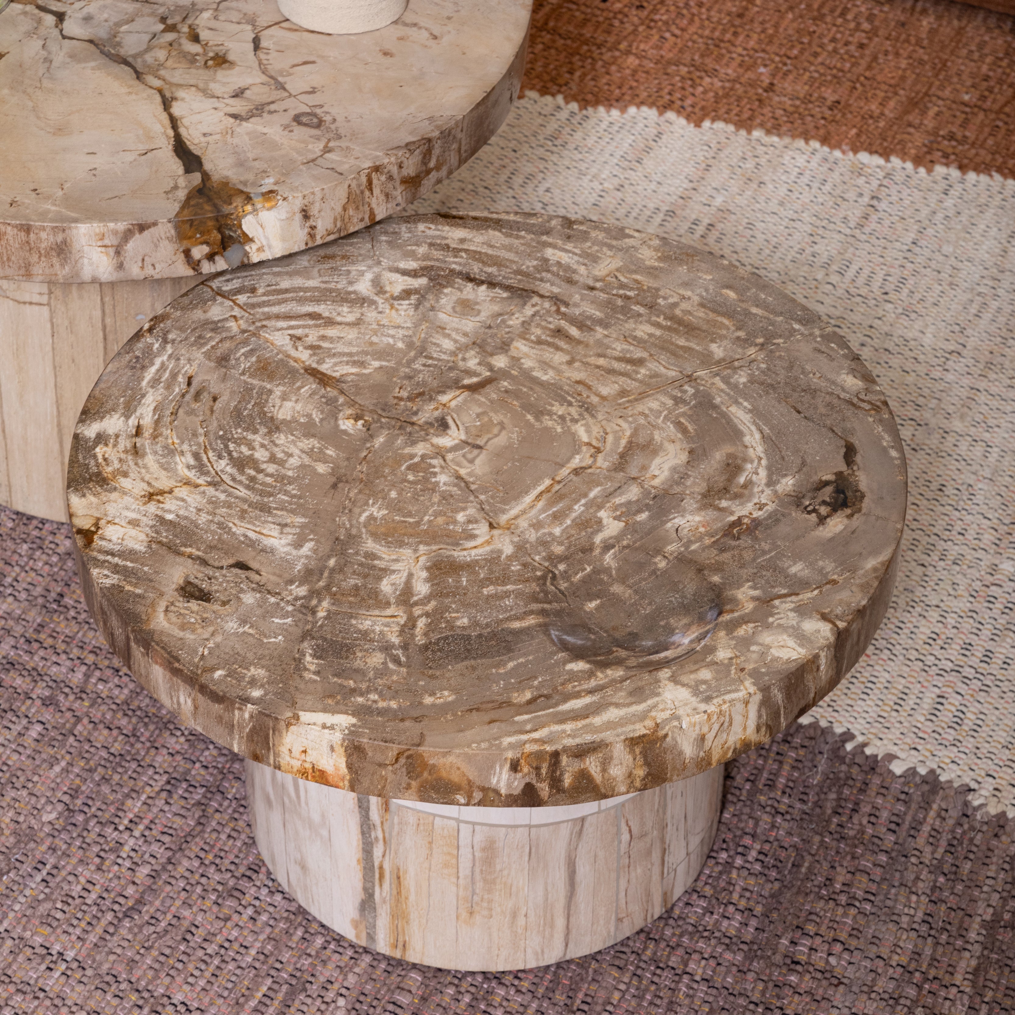 OB-22068 Petrified Wood Coffee Table Coffee Tables Dovetail , Black Friday Sale Dovetail Furniture Sale, Old Bones Co, Mid Century Furniture Sale, Four Hands Furniture, Black Friday Sale OB-22068 Petrified Wood Coffee Table,Gus Sale, Perigold OB-22068 Petrified Wood Coffee Table Coffee Tables Black Friday Sale , Perigold Sale OB-22068 Petrified Wood Coffee Table,OB-22068 Petrified Wood Coffee Table Lulu and Georgia, Burke Decor Sale OB-22068 Petrified Wood Coffee Table, www.oldbonesco.com