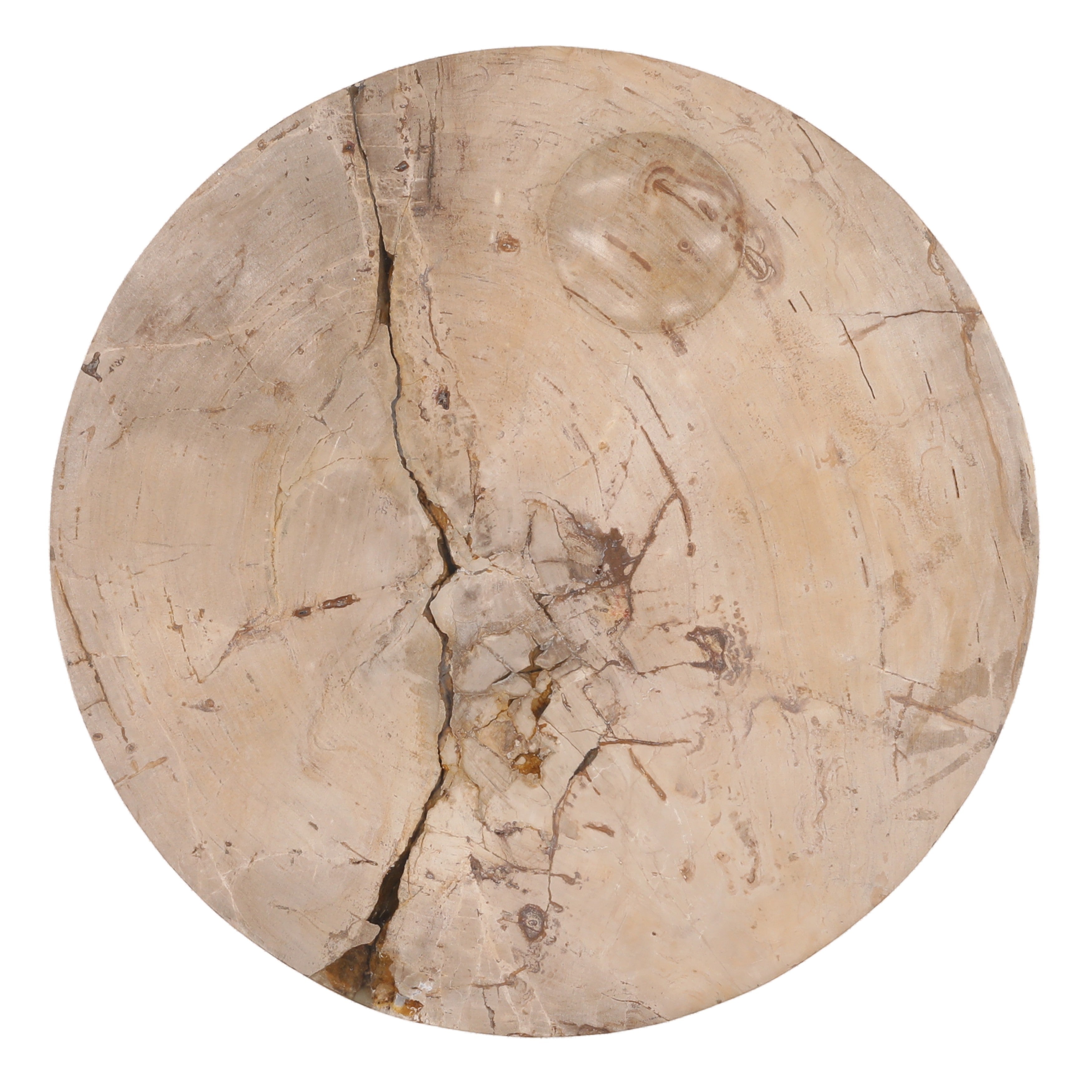 OB-22068 Petrified Wood Coffee Table Coffee Tables Dovetail , Black Friday Sale Dovetail Furniture Sale, Old Bones Co, Mid Century Furniture Sale, Four Hands Furniture, Black Friday Sale OB-22068 Petrified Wood Coffee Table,Gus Sale, Perigold OB-22068 Petrified Wood Coffee Table Coffee Tables Black Friday Sale , Perigold Sale OB-22068 Petrified Wood Coffee Table,OB-22068 Petrified Wood Coffee Table Lulu and Georgia, Burke Decor Sale OB-22068 Petrified Wood Coffee Table, www.oldbonesco.com