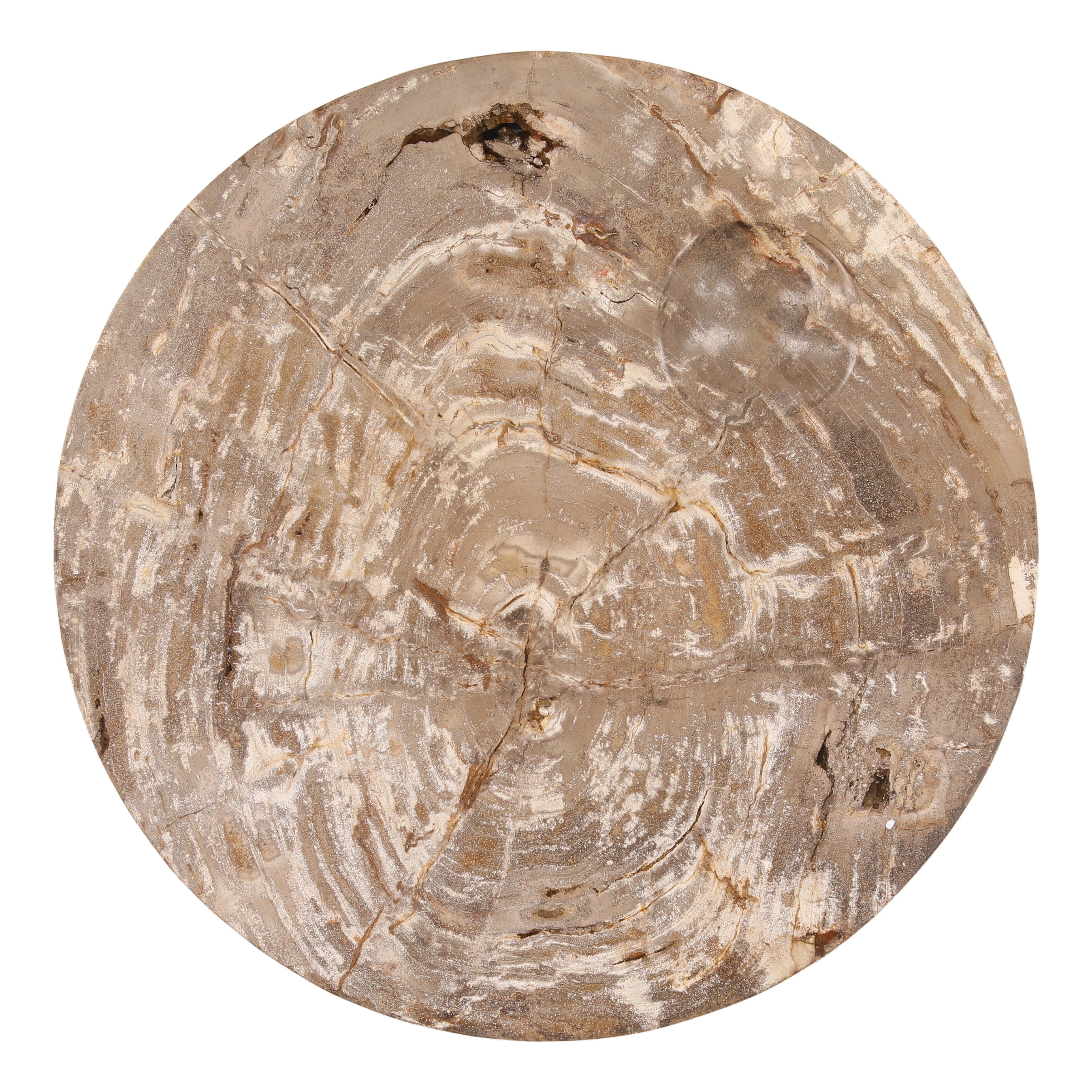 OB-22068 Petrified Wood Coffee Table Coffee Tables Dovetail , Black Friday Sale Dovetail Furniture Sale, Old Bones Co, Mid Century Furniture Sale, Four Hands Furniture, Black Friday Sale OB-22068 Petrified Wood Coffee Table,Gus Sale, Perigold OB-22068 Petrified Wood Coffee Table Coffee Tables Black Friday Sale , Perigold Sale OB-22068 Petrified Wood Coffee Table,OB-22068 Petrified Wood Coffee Table Lulu and Georgia, Burke Decor Sale OB-22068 Petrified Wood Coffee Table, www.oldbonesco.com