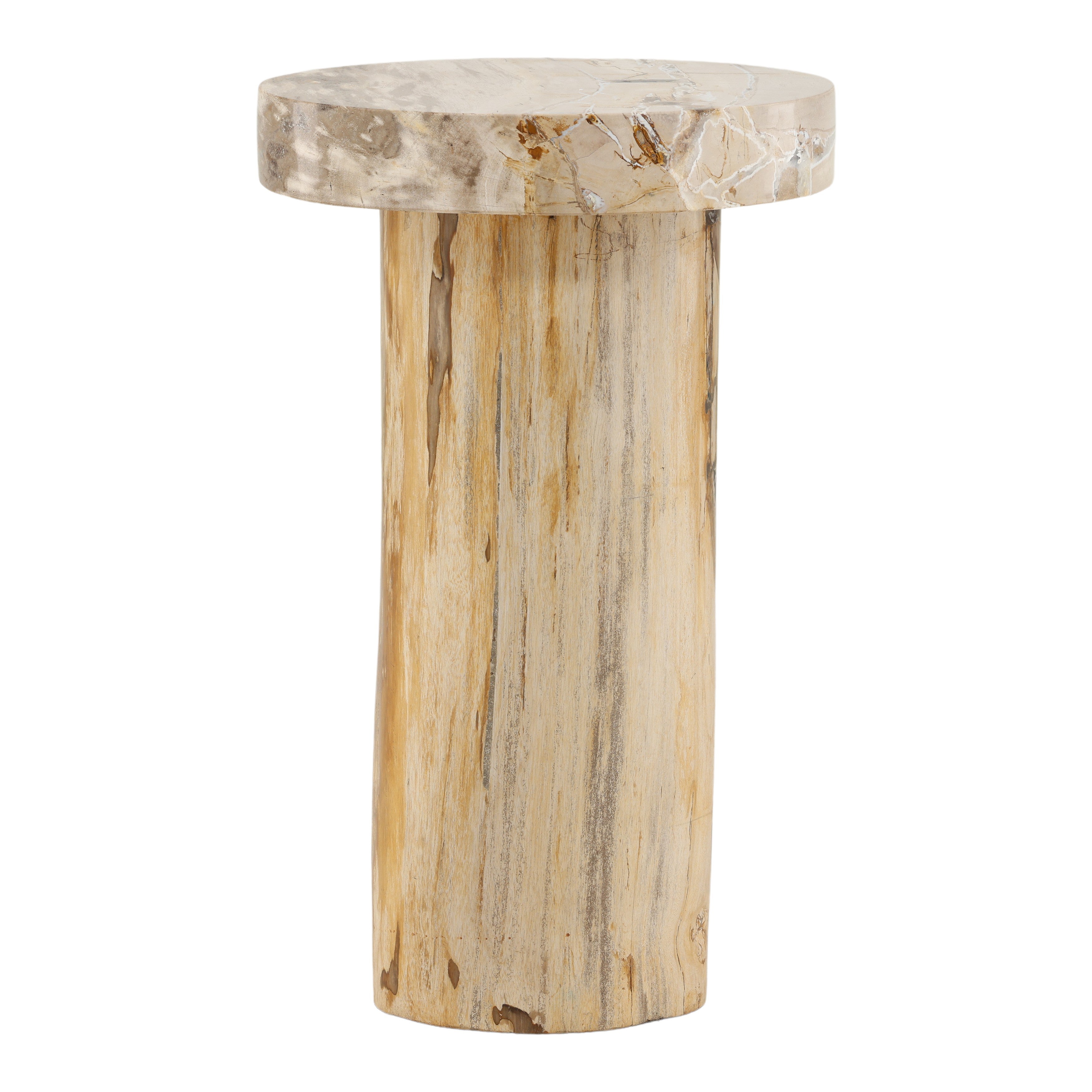 OB-22069 Petrified Wood Side Table Side & End Tables Dovetail , Black Friday Sale Dovetail Furniture Sale, Old Bones Co, Mid Century Furniture Sale, Four Hands Furniture, Black Friday Sale OB-22069 Petrified Wood Side Table,Gus Sale, Perigold OB-22069 Petrified Wood Side Table Side & End Tables Black Friday Sale , Perigold Sale OB-22069 Petrified Wood Side Table,OB-22069 Petrified Wood Side Table Lulu and Georgia, Burke Decor Sale OB-22069 Petrified Wood Side Table, www.oldbonesco.com