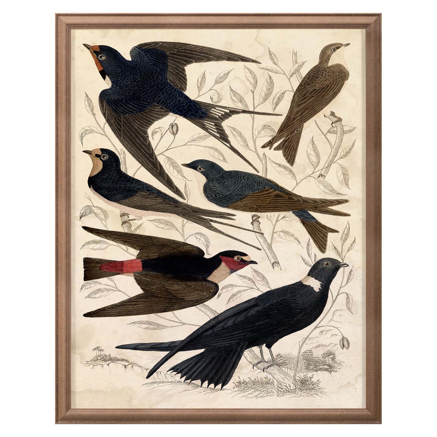 Gallivani Birds 1 Art Studio Jonathan Adler , Black Friday Sale Jonathan Adler Furniture Sale, Old Bones Co, Mid Century Furniture Sale, Four Hands Furniture, Black Friday Sale Gallivani Birds 1,Gus Sale, Perigold Gallivani Birds 1 Art Studio Black Friday Sale , Perigold Sale Gallivani Birds 1,Gallivani Birds 1 Lulu and Georgia, Burke Decor Sale Gallivani Birds 1, www.oldbonesco.com