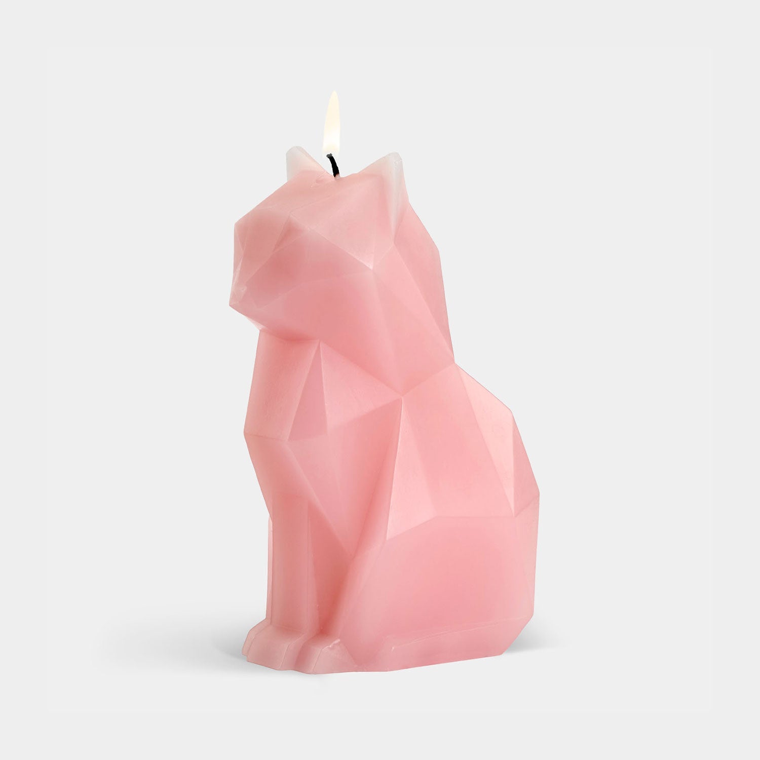 PyroPet Kisa Cat Candle - Light Pink PyroPet Kisa (Cat) 54Celsius , Black Friday Sale 54Celsius Furniture Sale, Old Bones Co, Mid Century Furniture Sale, Four Hands Furniture, Black Friday Sale PyroPet Kisa Cat Candle - Light Pink,Gus Sale, Perigold PyroPet Kisa Cat Candle - Light Pink PyroPet Kisa (Cat) Black Friday Sale , Perigold Sale PyroPet Kisa Cat Candle - Light Pink,PyroPet Kisa Cat Candle - Light Pink Lulu and Georgia, Burke Decor Sale PyroPet Kisa Cat Candle - Light Pink, www.oldbonesco.com