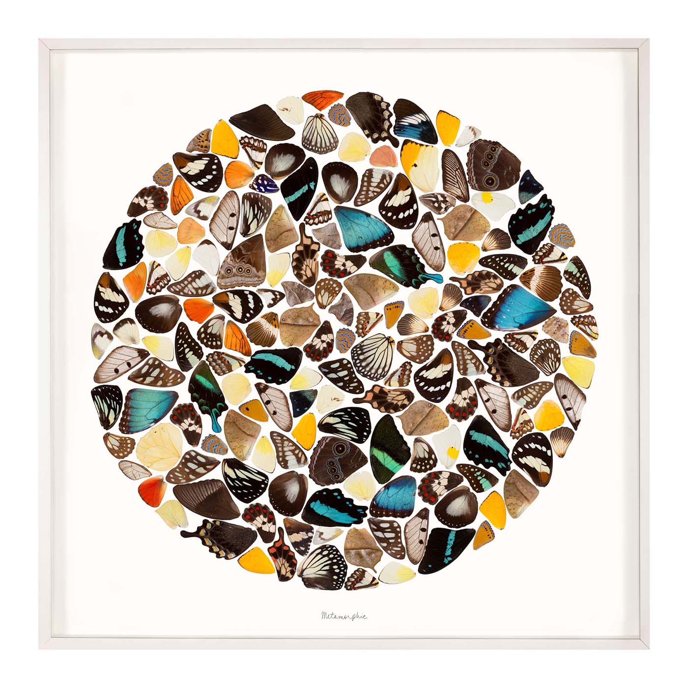 Metamorphic Art Studio Jonathan Adler , Black Friday Sale Jonathan Adler Furniture Sale, Old Bones Co, Mid Century Furniture Sale, Four Hands Furniture, Black Friday Sale Metamorphic,Gus Sale, Perigold Metamorphic Art Studio Black Friday Sale , Perigold Sale Metamorphic,Metamorphic Lulu and Georgia, Burke Decor Sale Metamorphic, www.oldbonesco.com