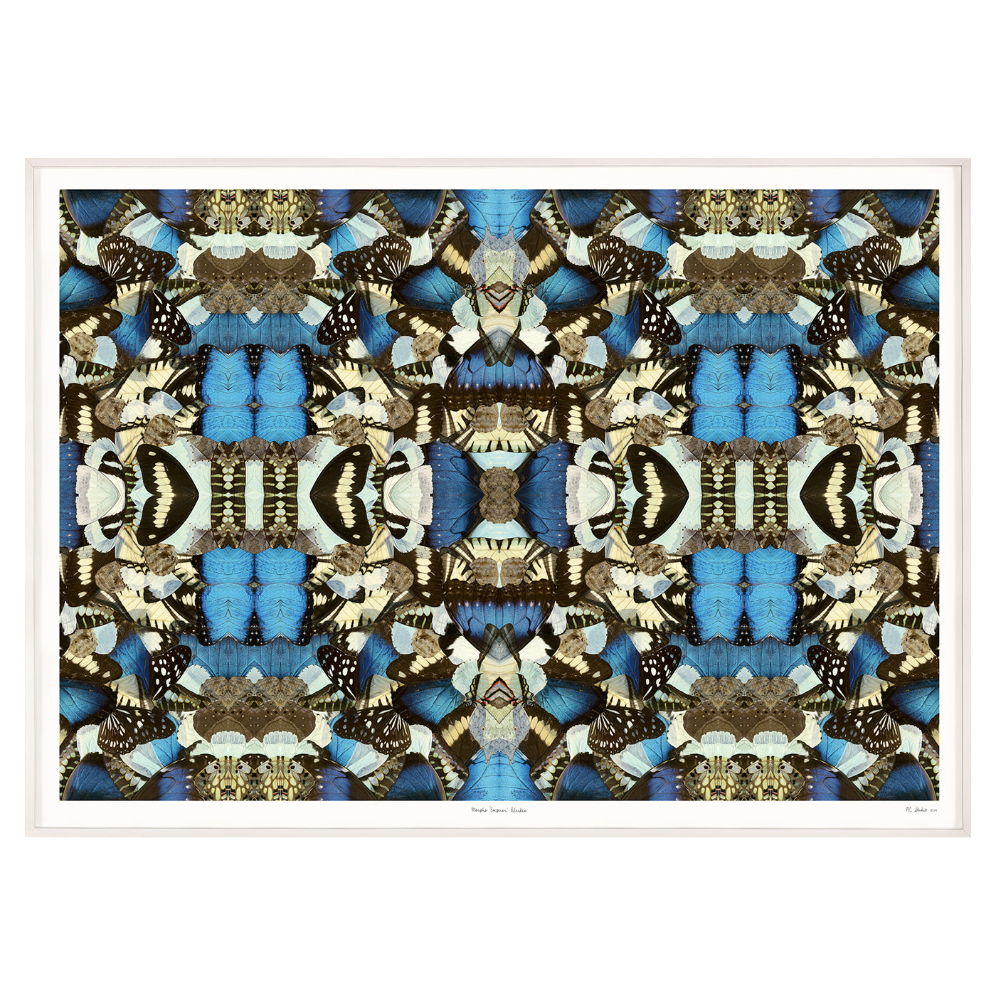 Morpho Emperor Peleides Art Studio Jonathan Adler , Black Friday Sale Jonathan Adler Furniture Sale, Old Bones Co, Mid Century Furniture Sale, Four Hands Furniture, Black Friday Sale Morpho Emperor Peleides,Gus Sale, Perigold Morpho Emperor Peleides Art Studio Black Friday Sale , Perigold Sale Morpho Emperor Peleides,Morpho Emperor Peleides Lulu and Georgia, Burke Decor Sale Morpho Emperor Peleides, www.oldbonesco.com