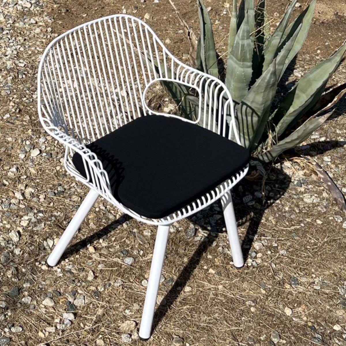 Rita Arm Chair